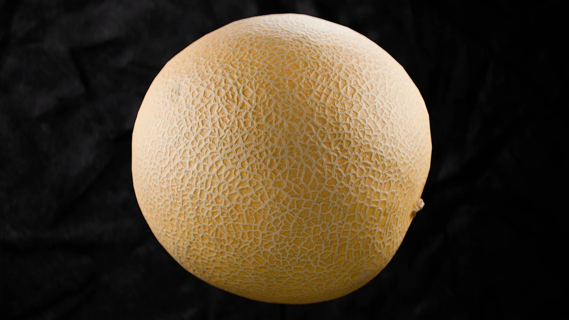 Galia Melon