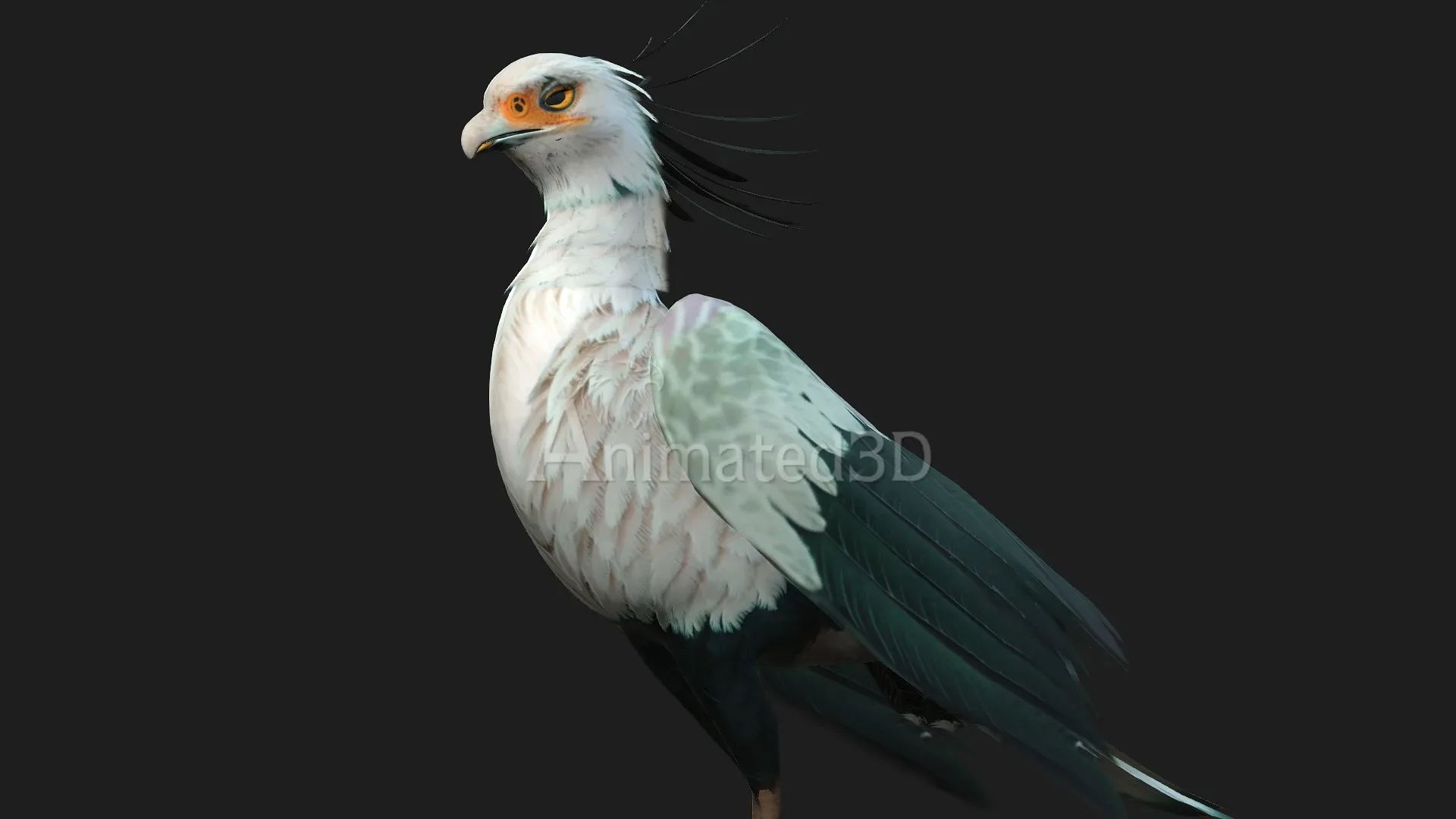 SecretaryBird_A2