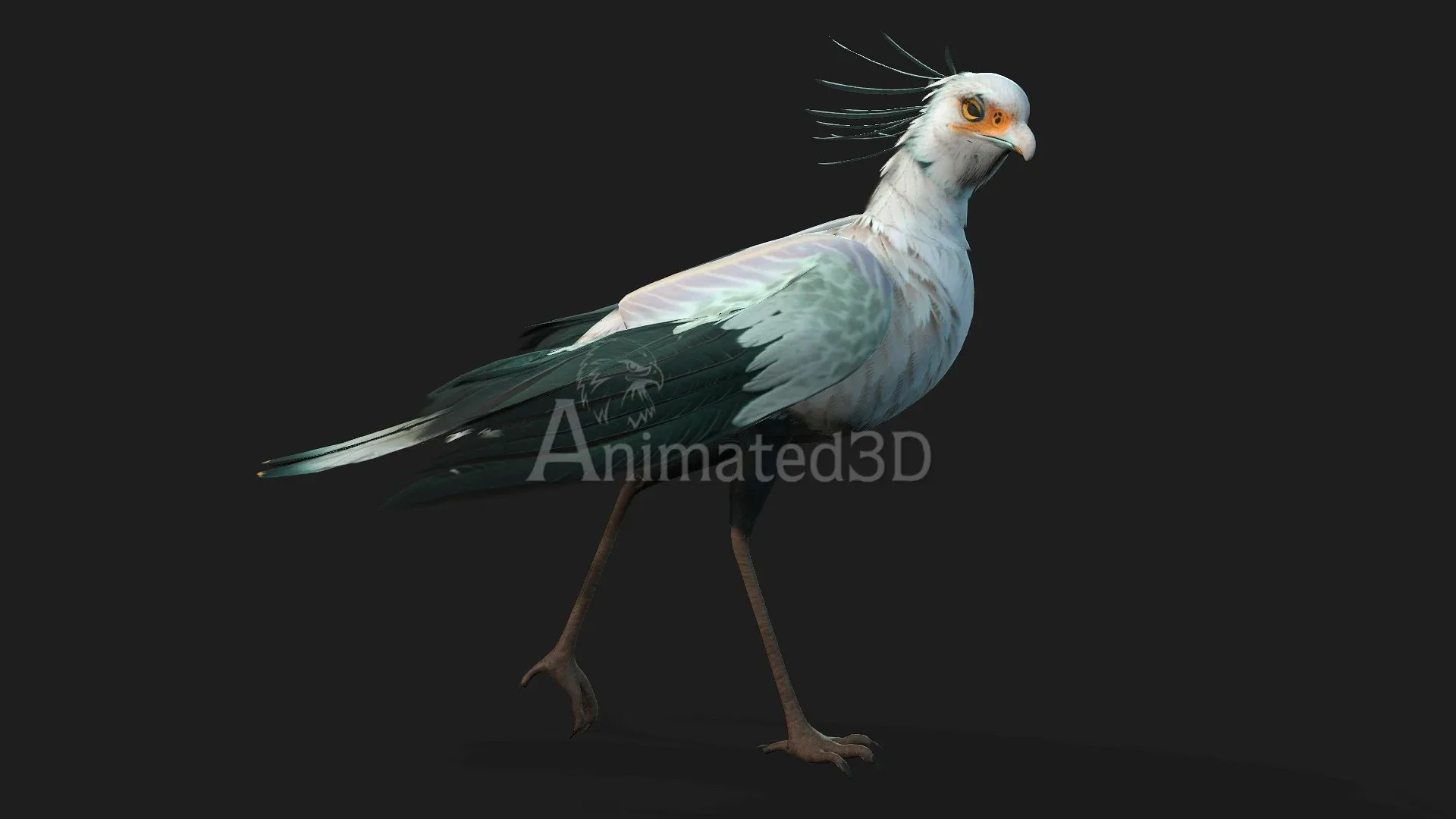 SecretaryBird_A2