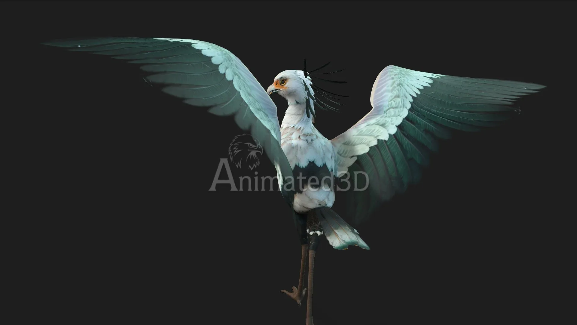 SecretaryBird_A2