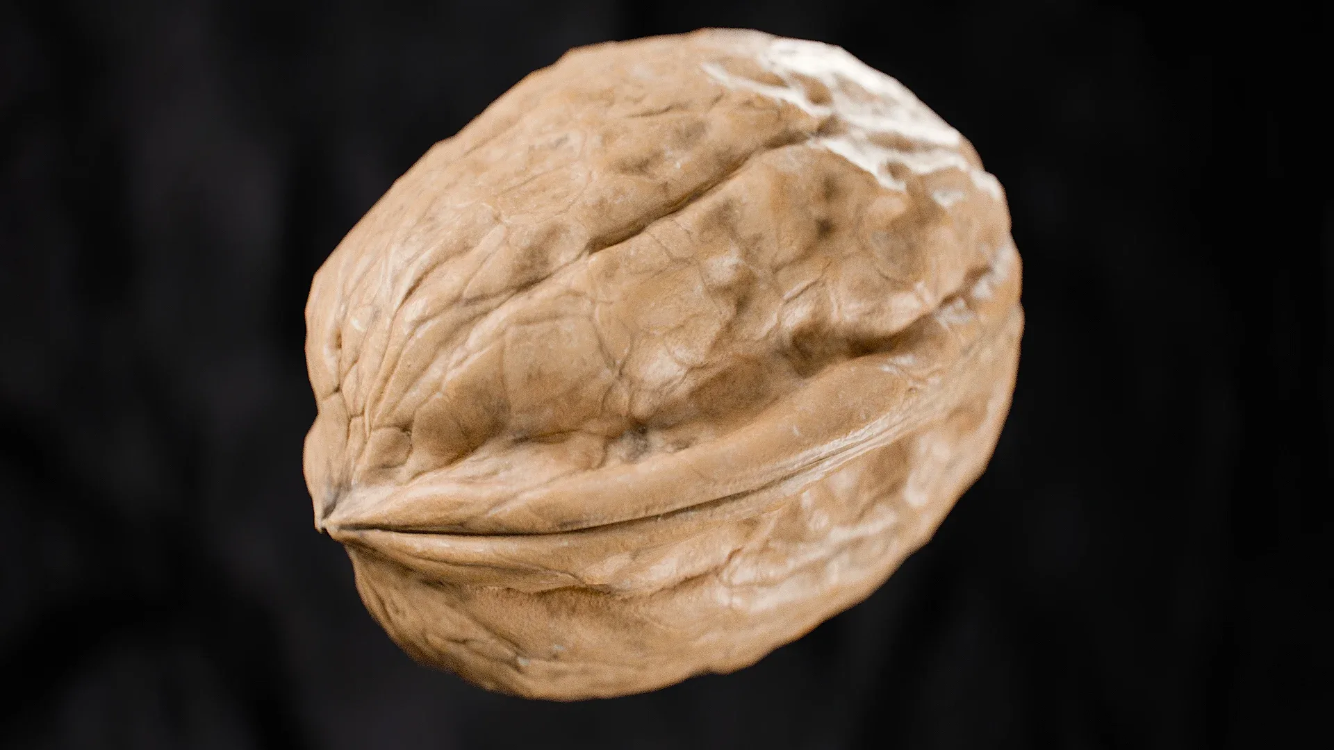 Walnut