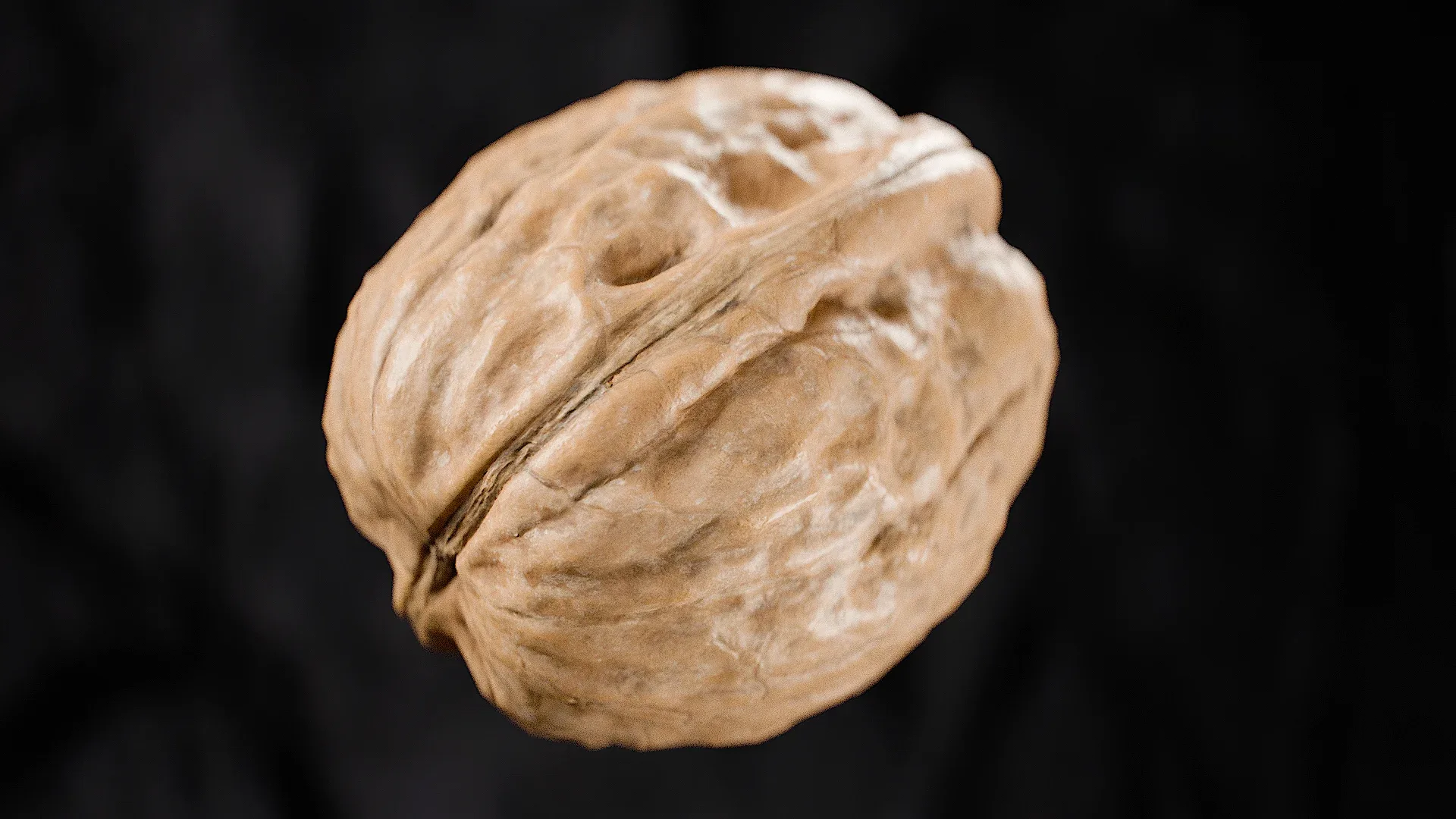 Walnut