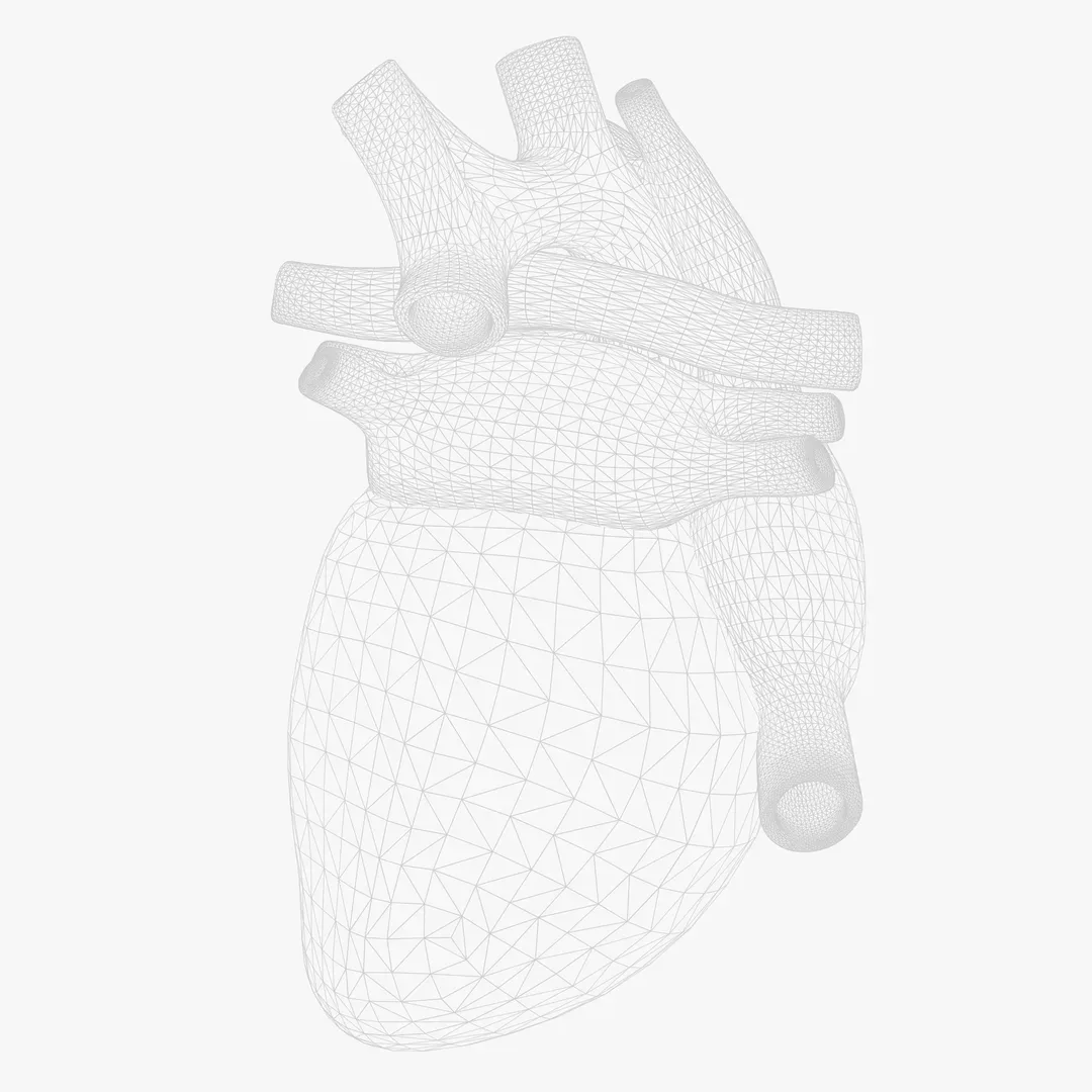 Human Heart Animation 3D Model