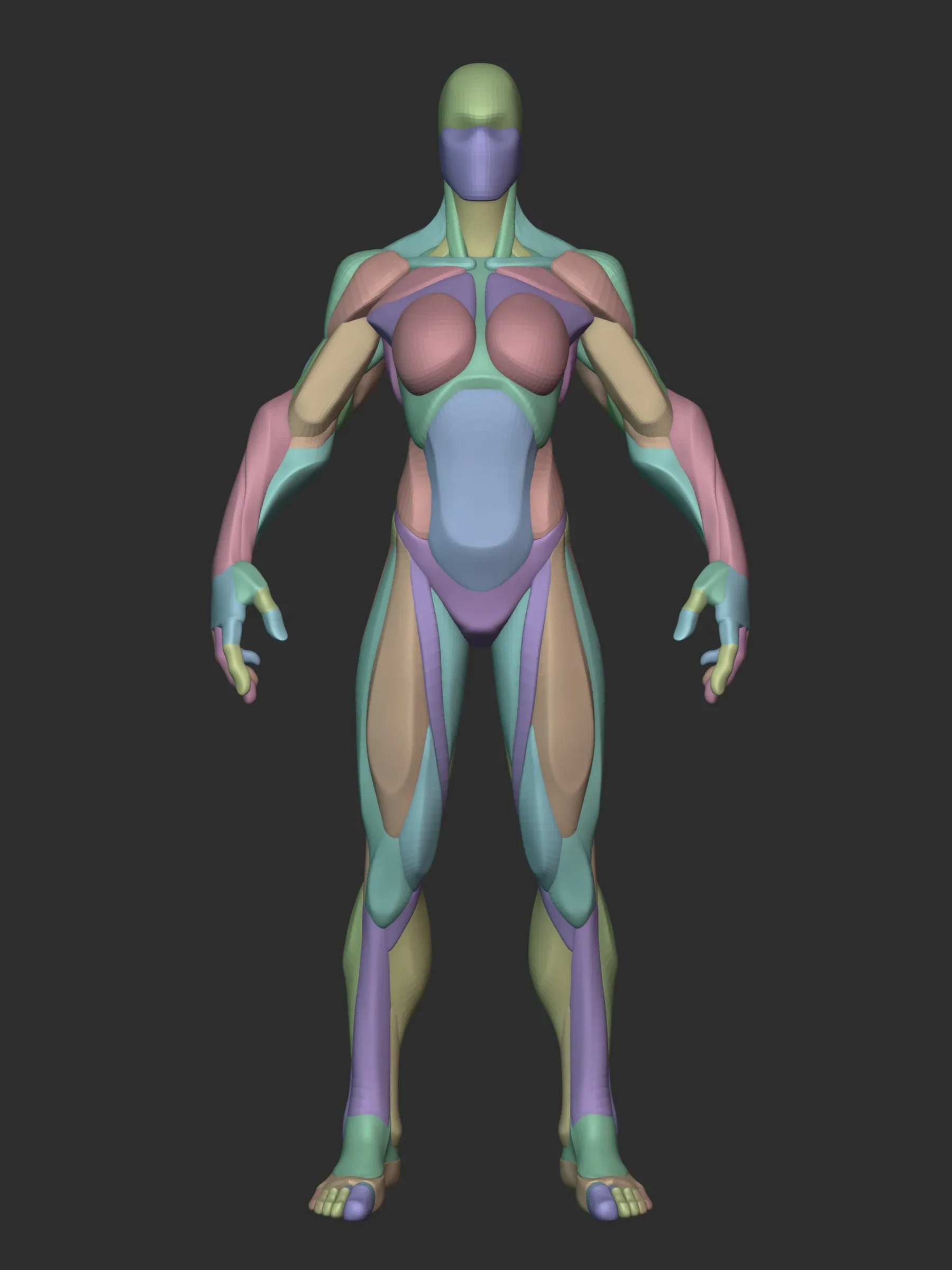 Stylized Female Hulk Anatomy Blockout