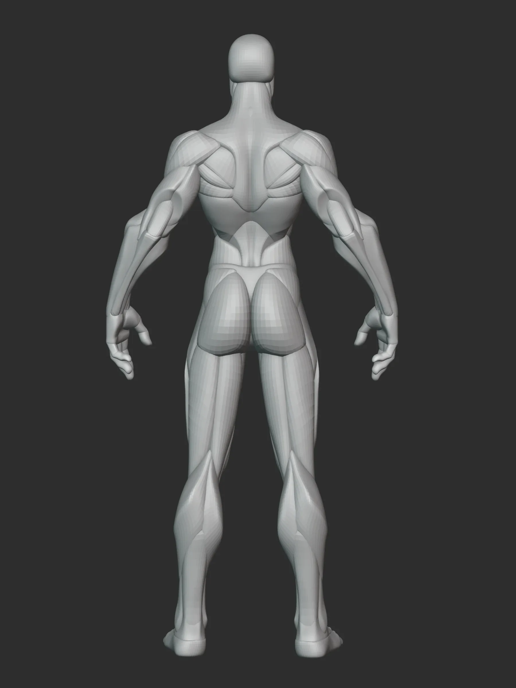 Stylized Female Hulk Anatomy Blockout