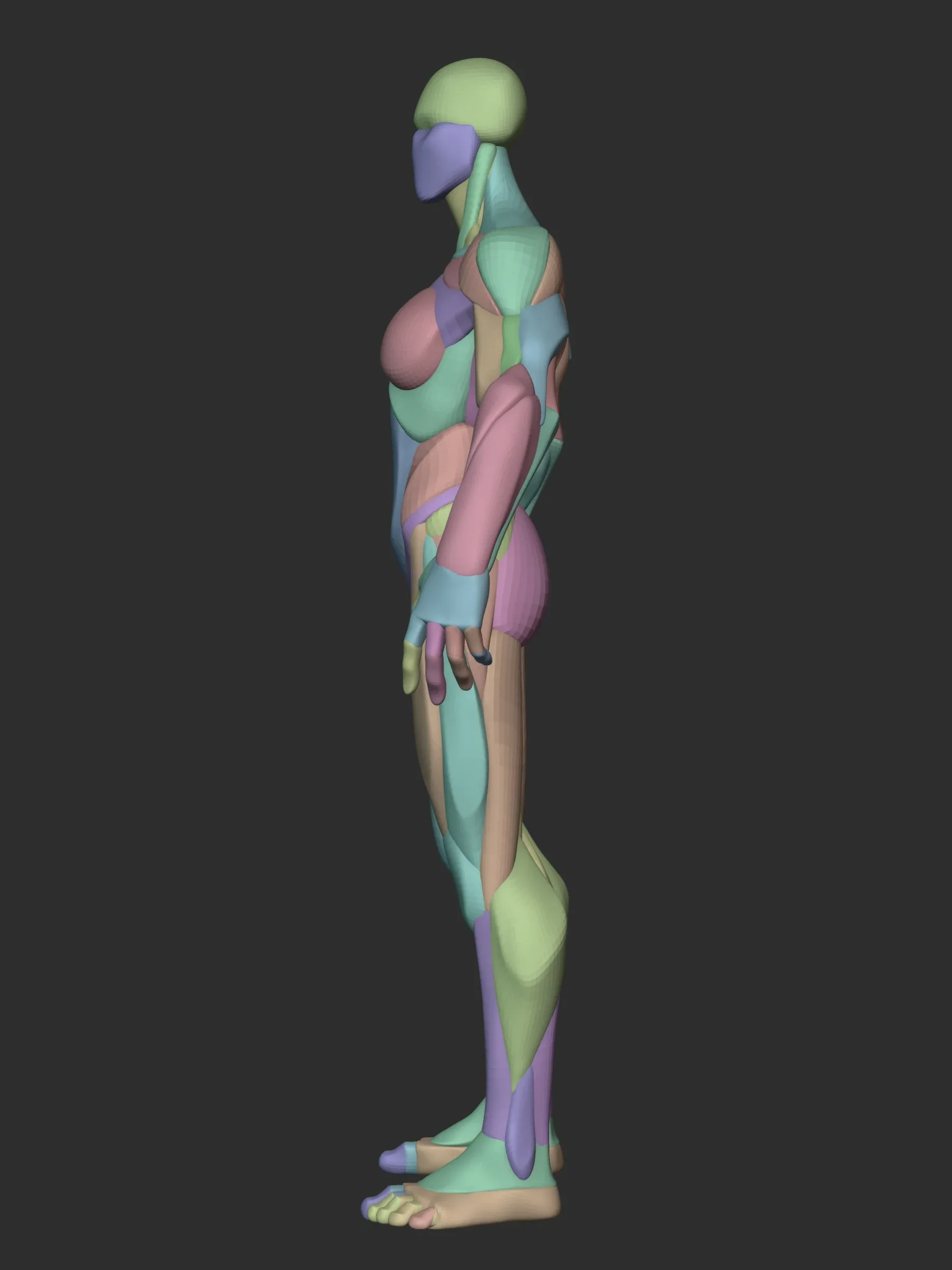 Stylized Female Hulk Anatomy Blockout