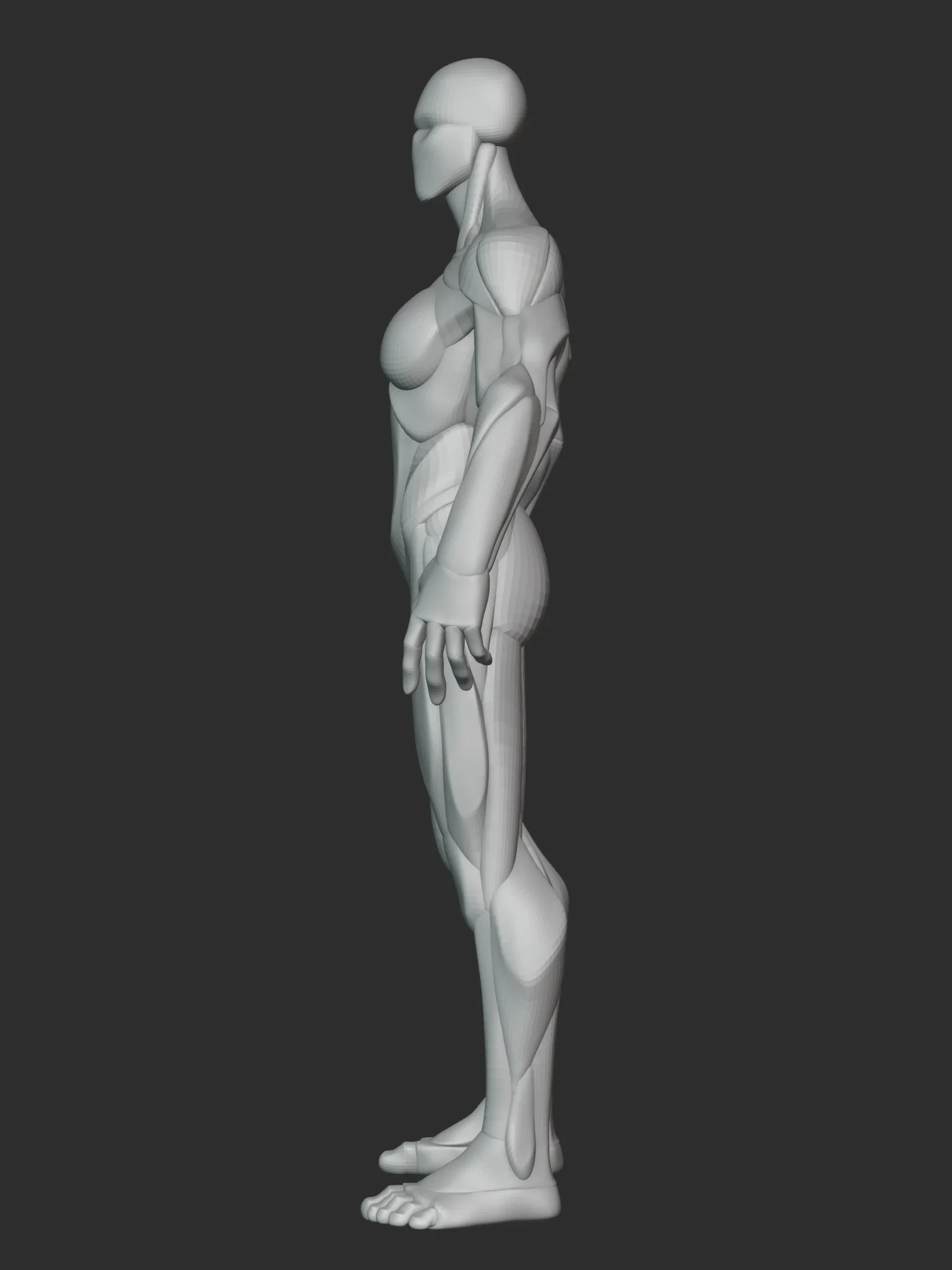 Stylized Female Hulk Anatomy Blockout