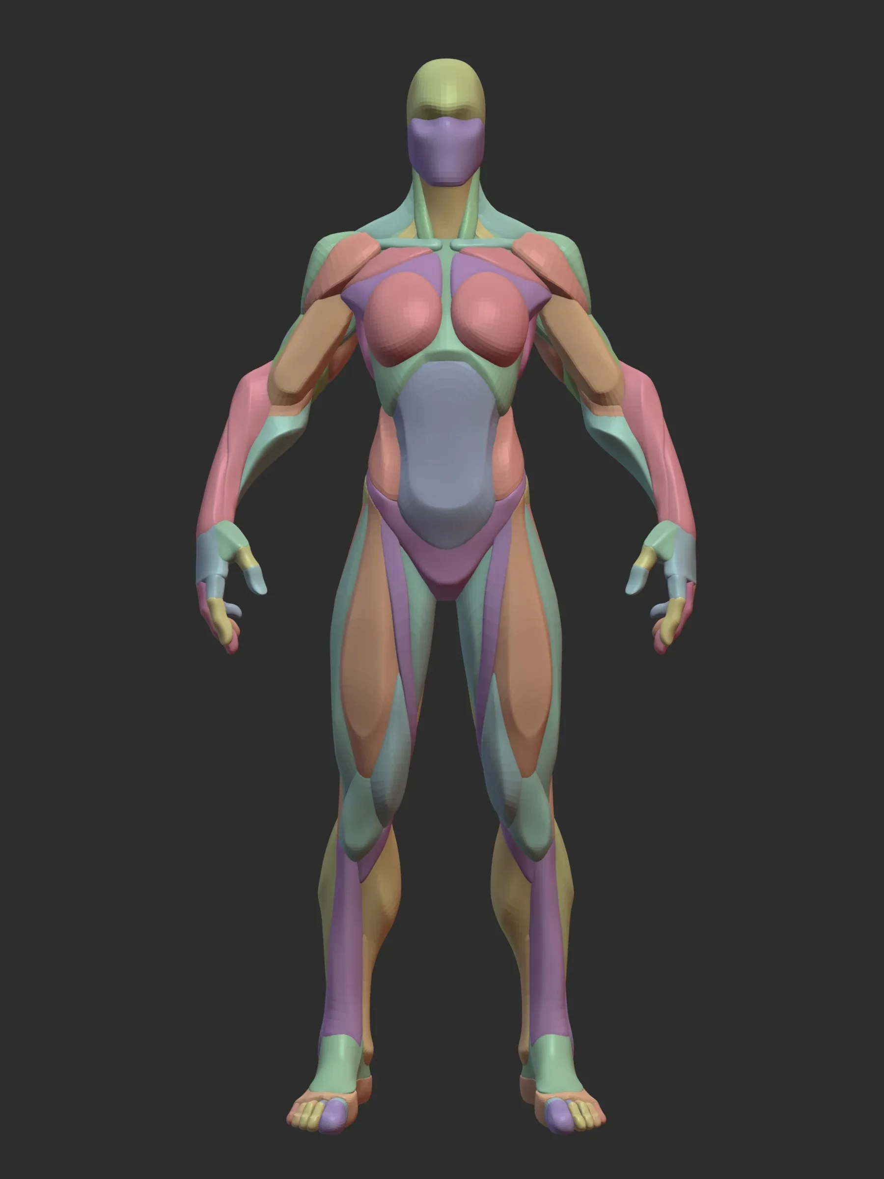 Stylized Female Hulk Anatomy Blockout