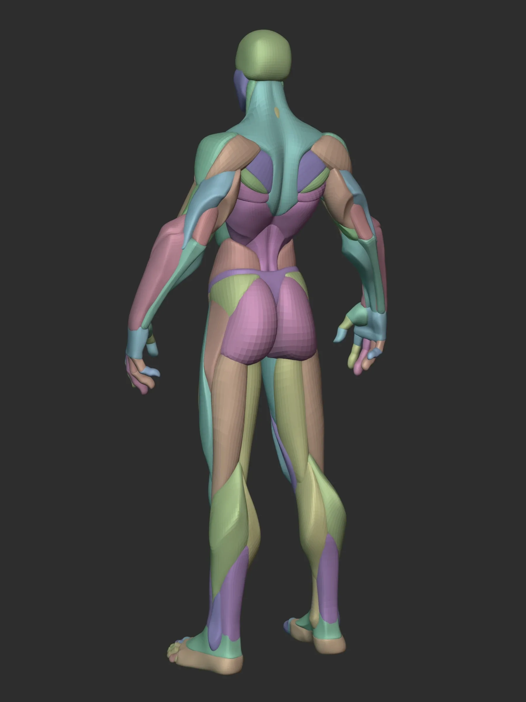 Stylized Female Hulk Anatomy Blockout