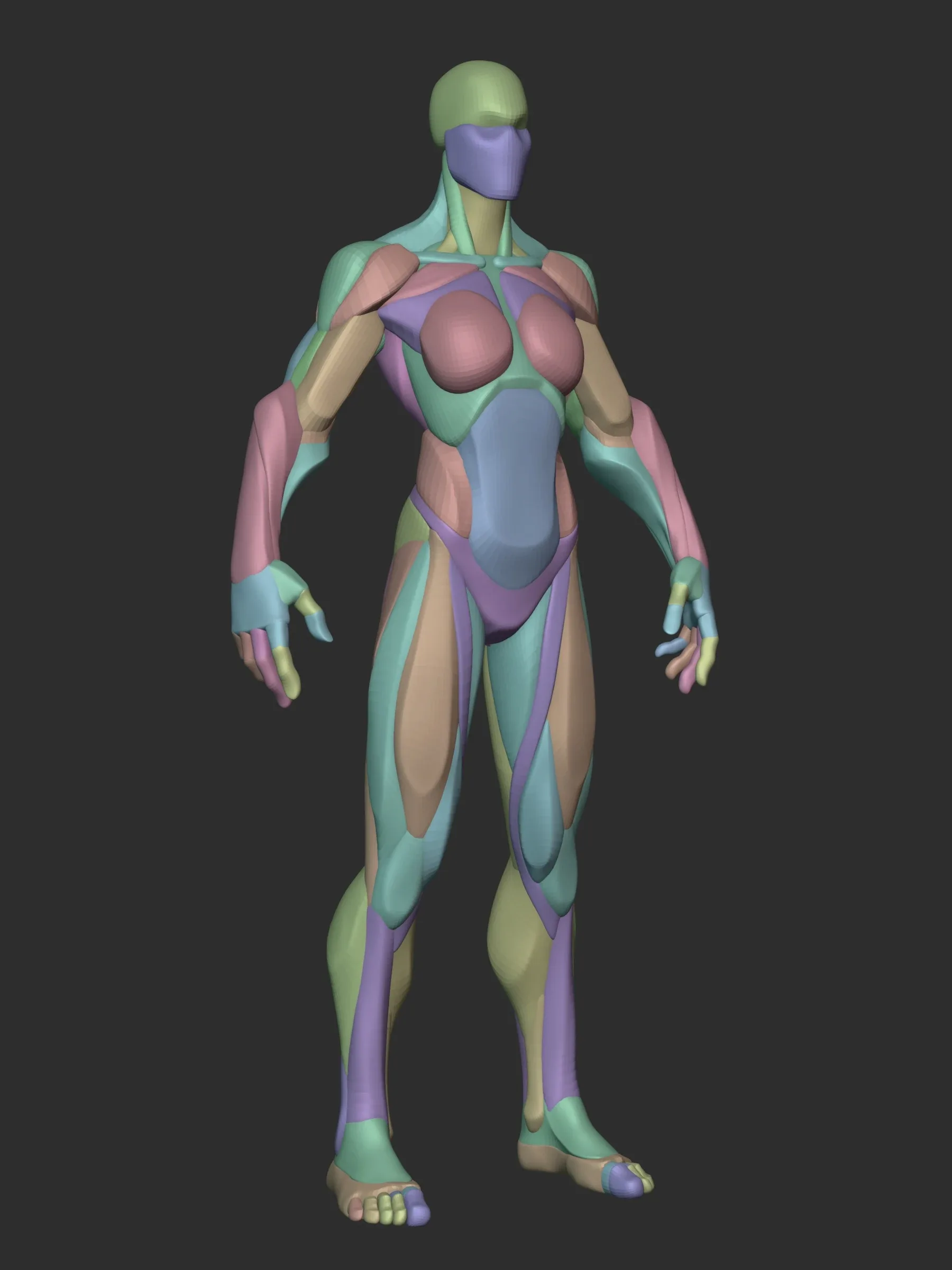 Stylized Female Hulk Anatomy Blockout