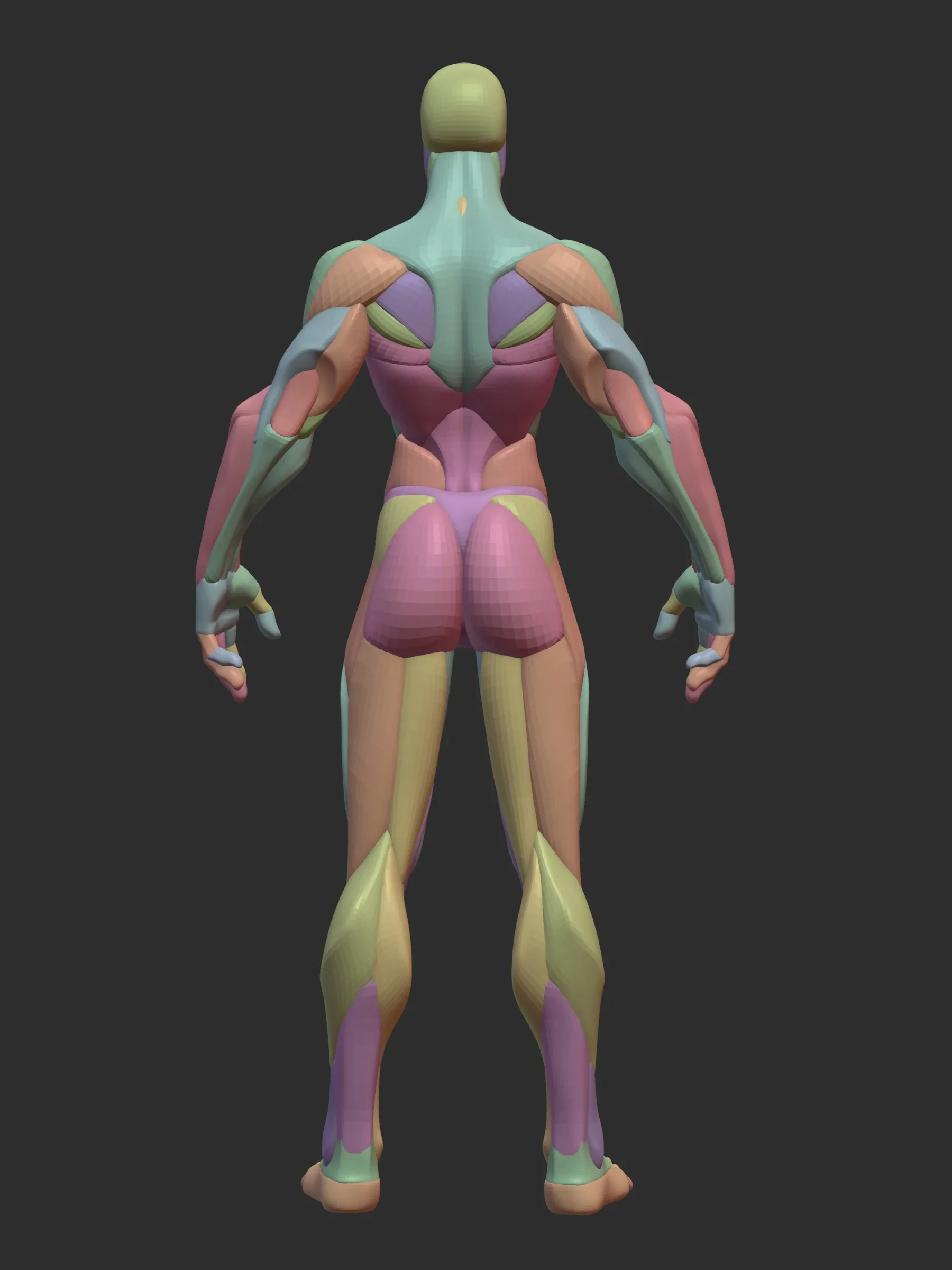 Stylized Female Hulk Anatomy Blockout