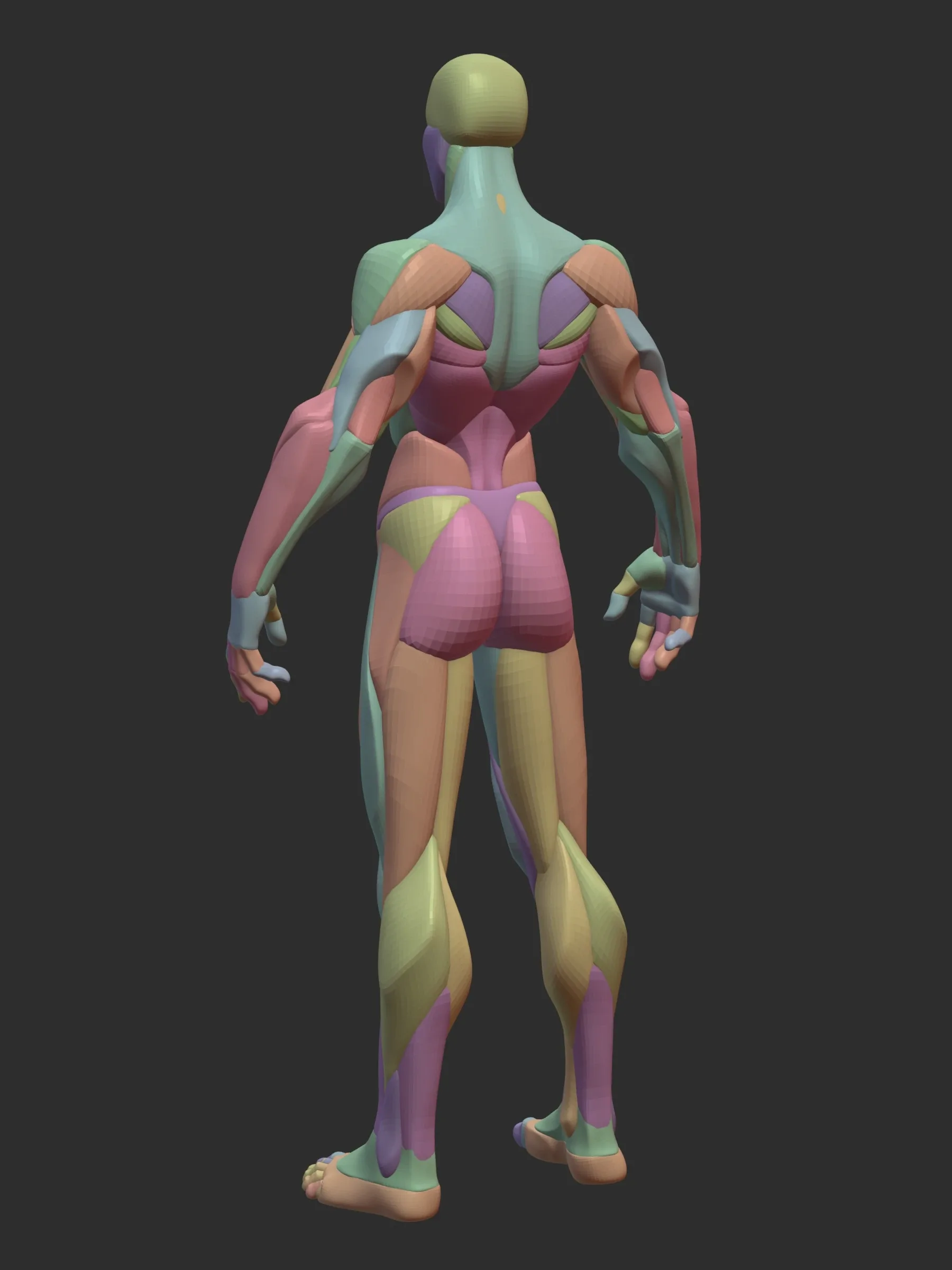 Stylized Female Hulk Anatomy Blockout