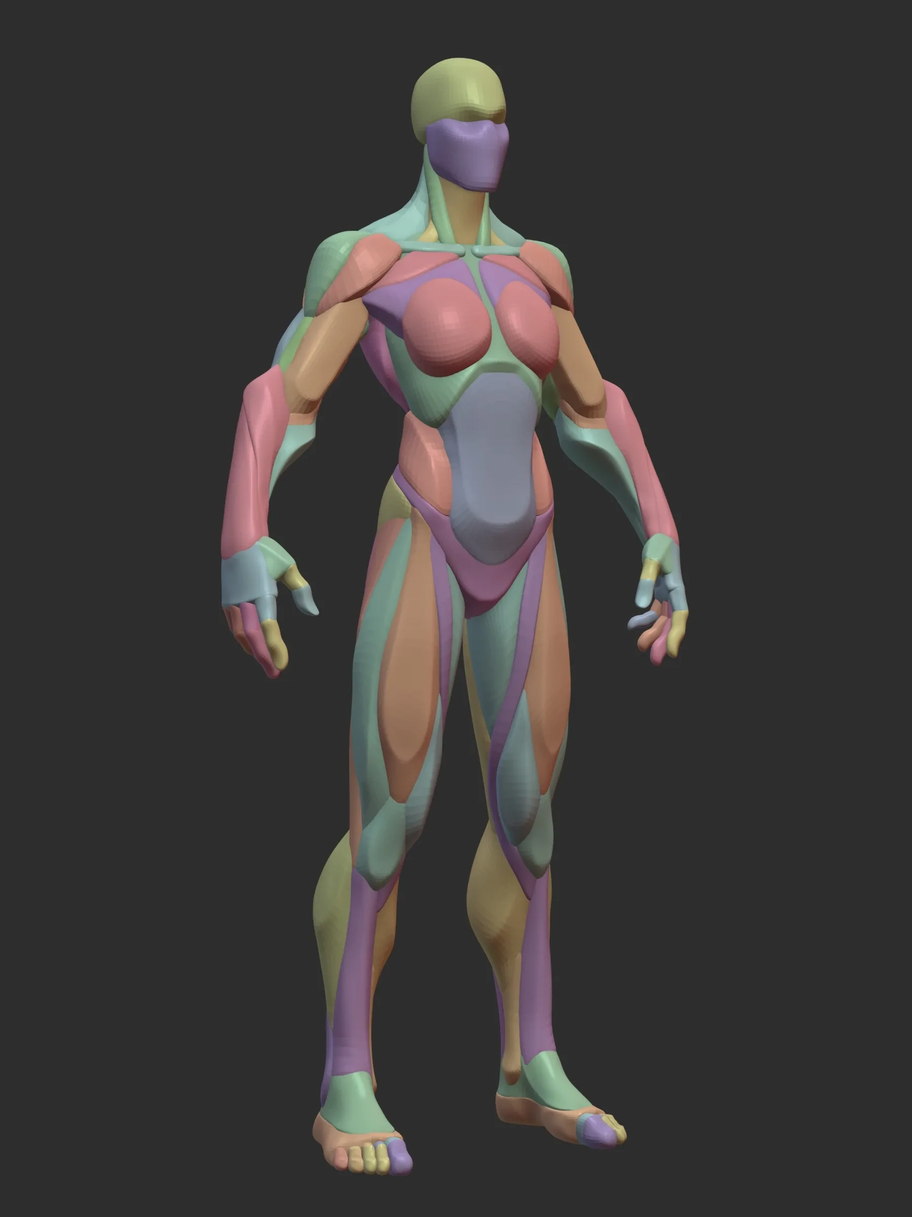 Stylized Female Hulk Anatomy Blockout