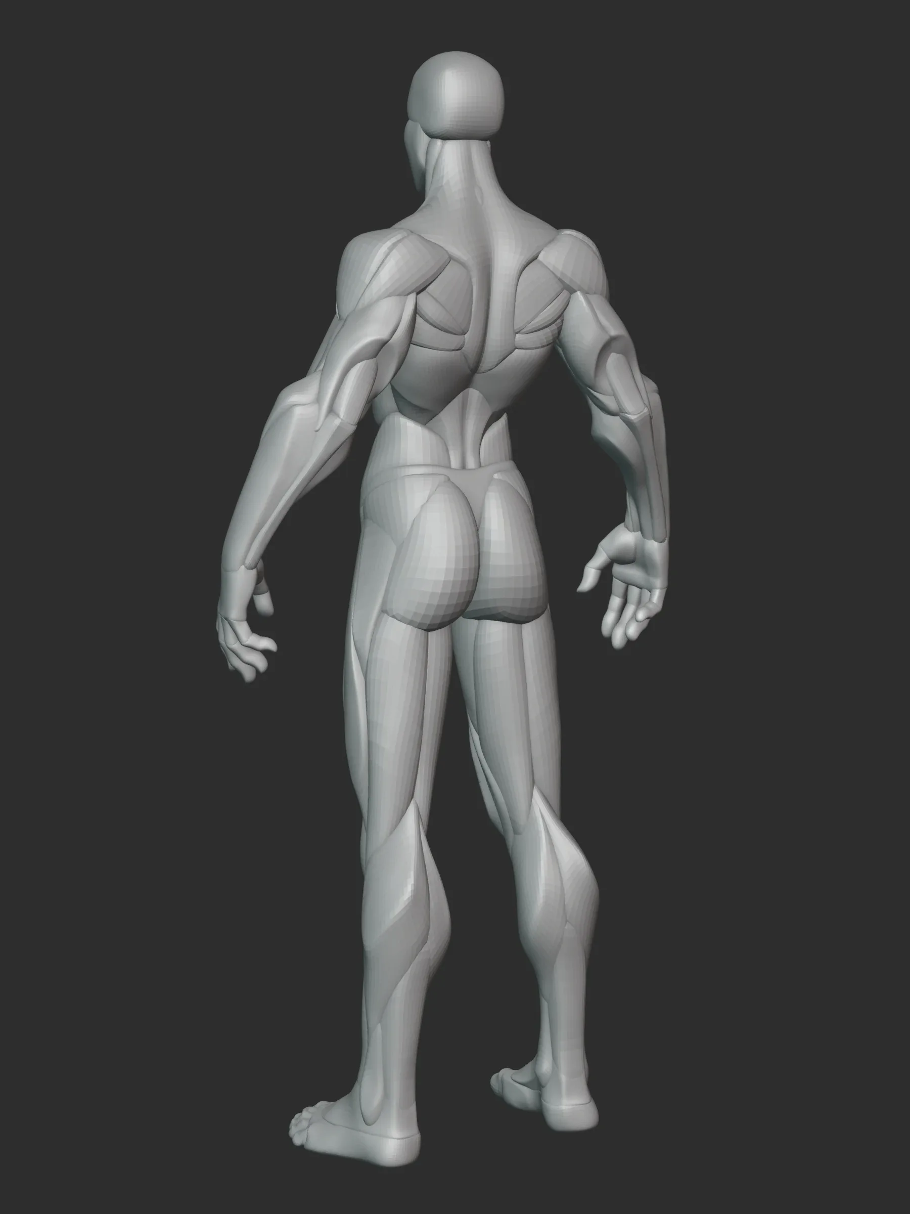 Stylized Female Hulk Anatomy Blockout