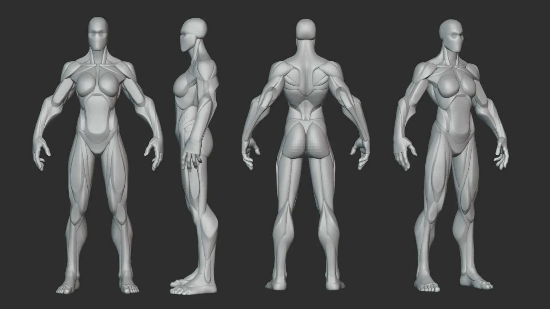 Stylized Female Hulk Anatomy Blockout