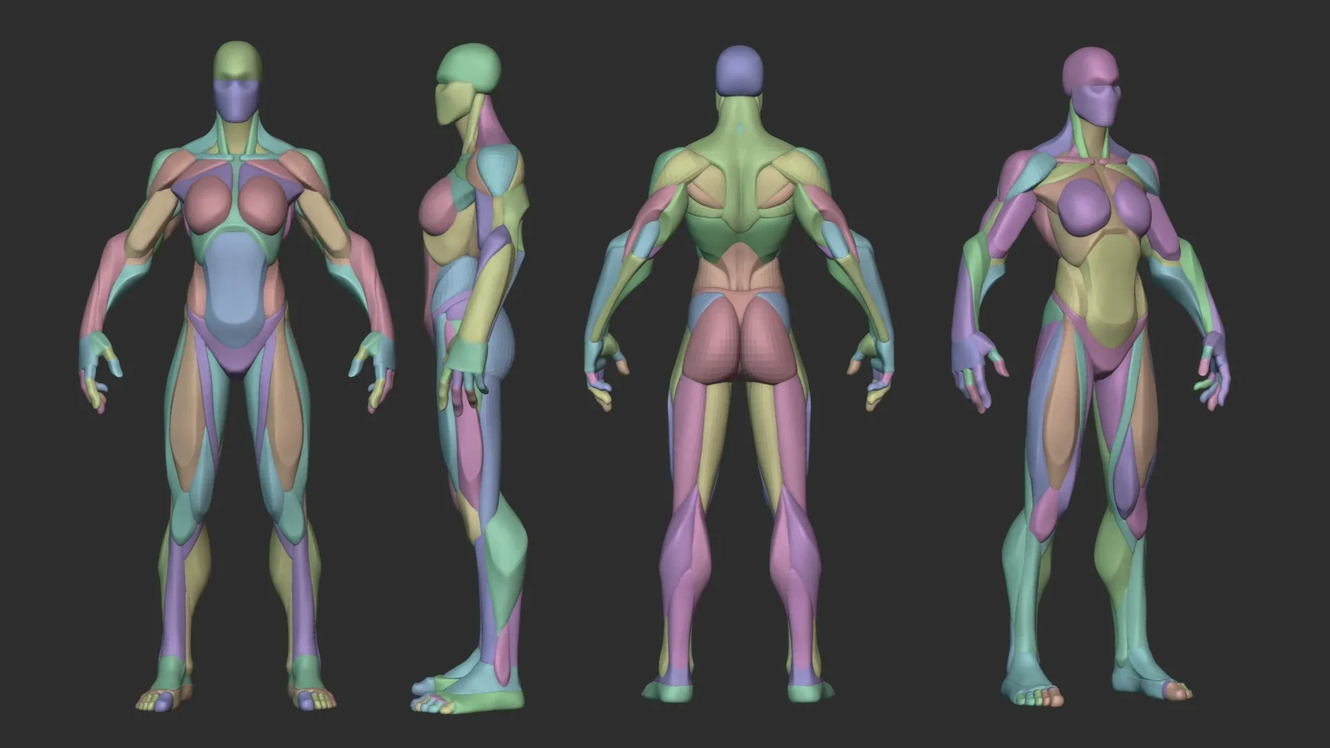 Stylized Female Hulk Anatomy Blockout