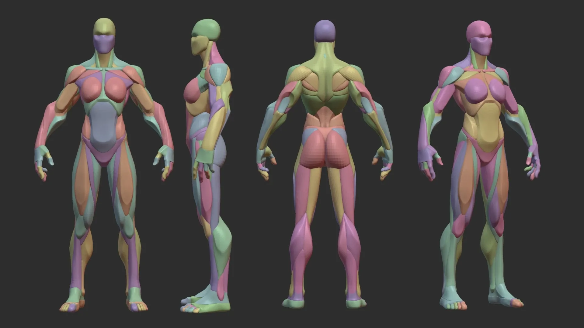 Stylized Female Hulk Anatomy Blockout