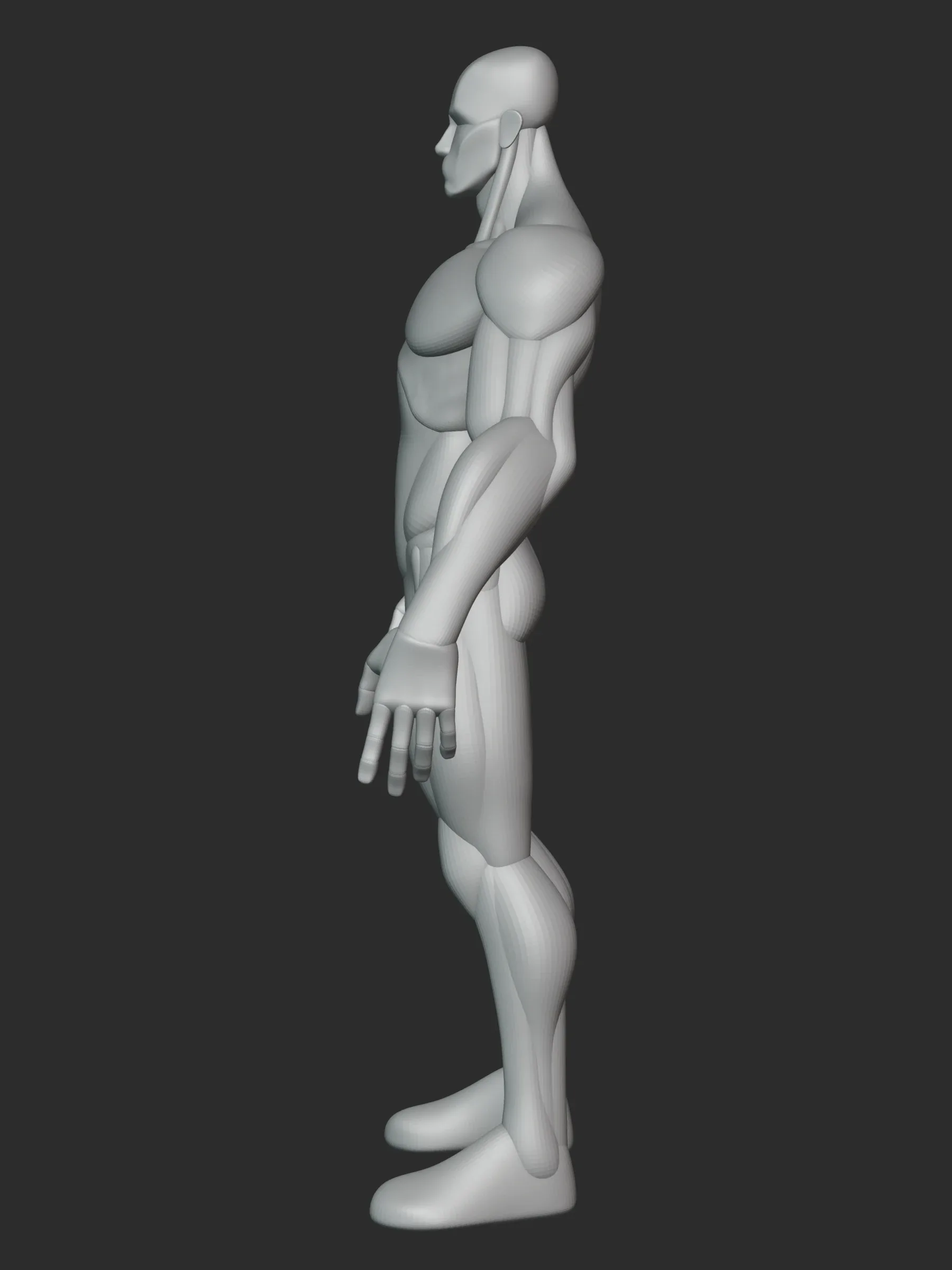 Standard Male Stylized Blockout V1