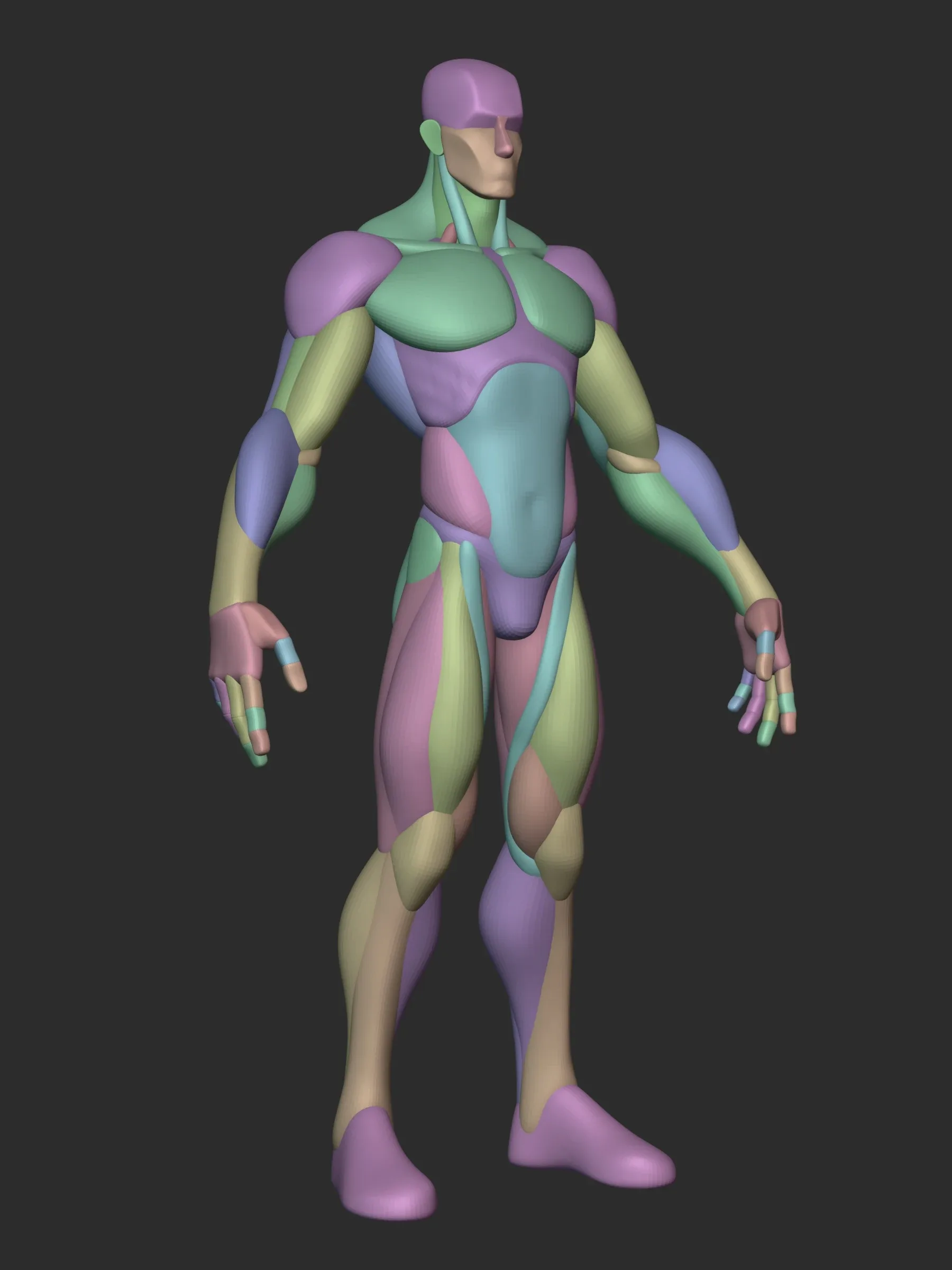 Standard Male Stylized Blockout V1