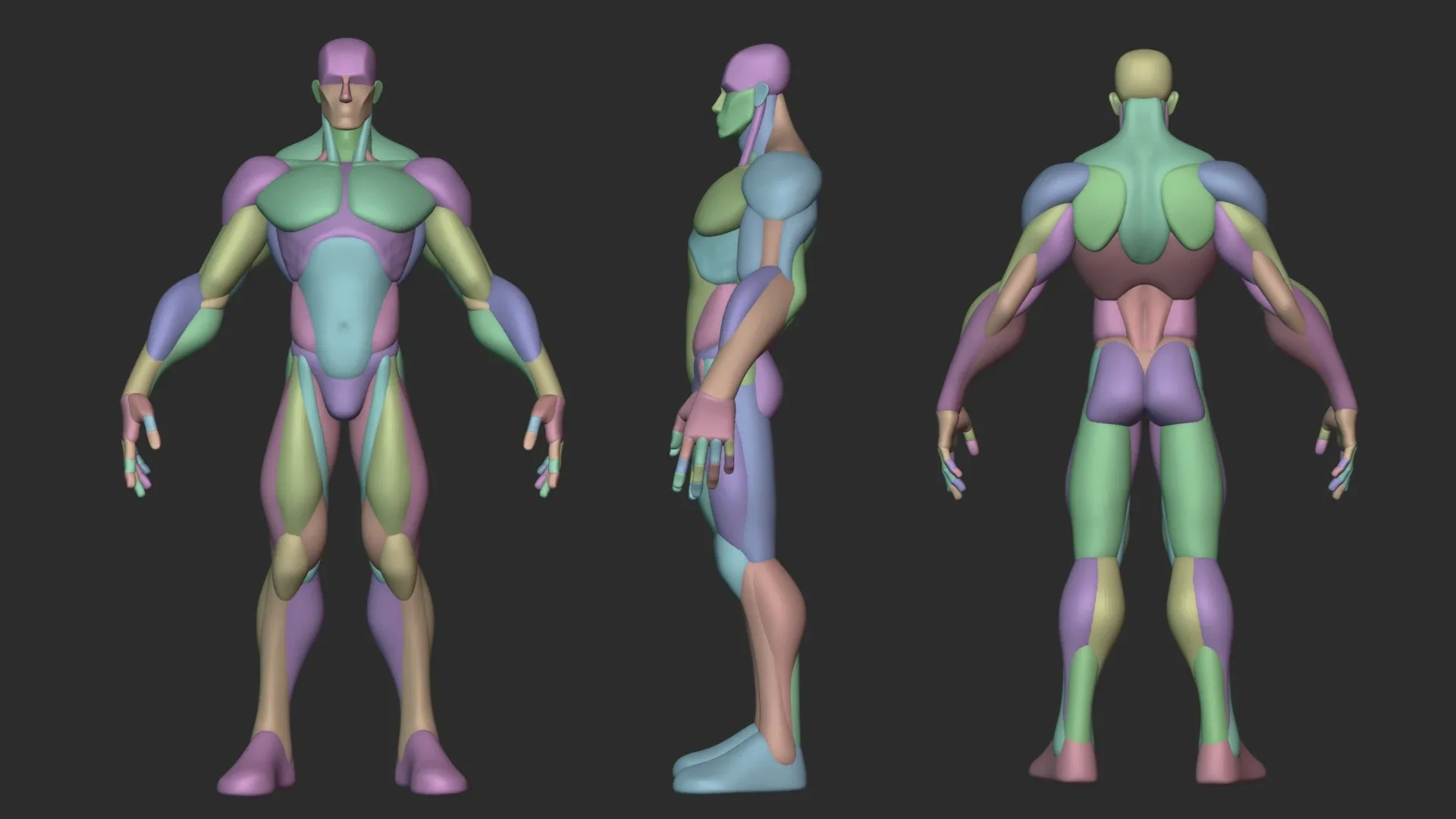 Standard Male Stylized Blockout V1