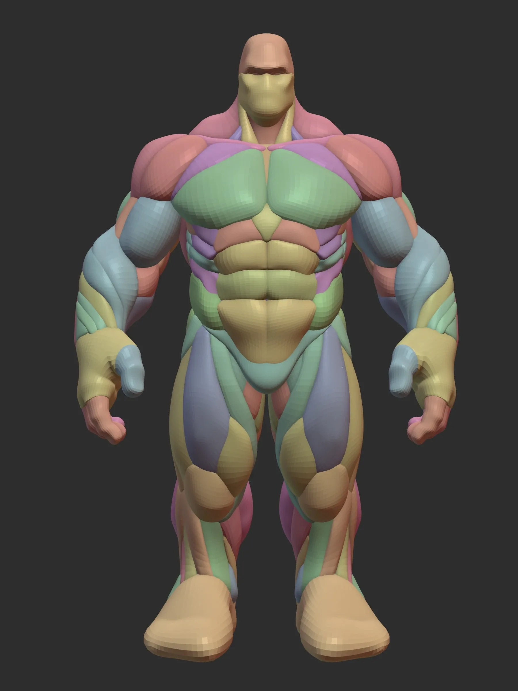 Hulky Anatomy Blockout