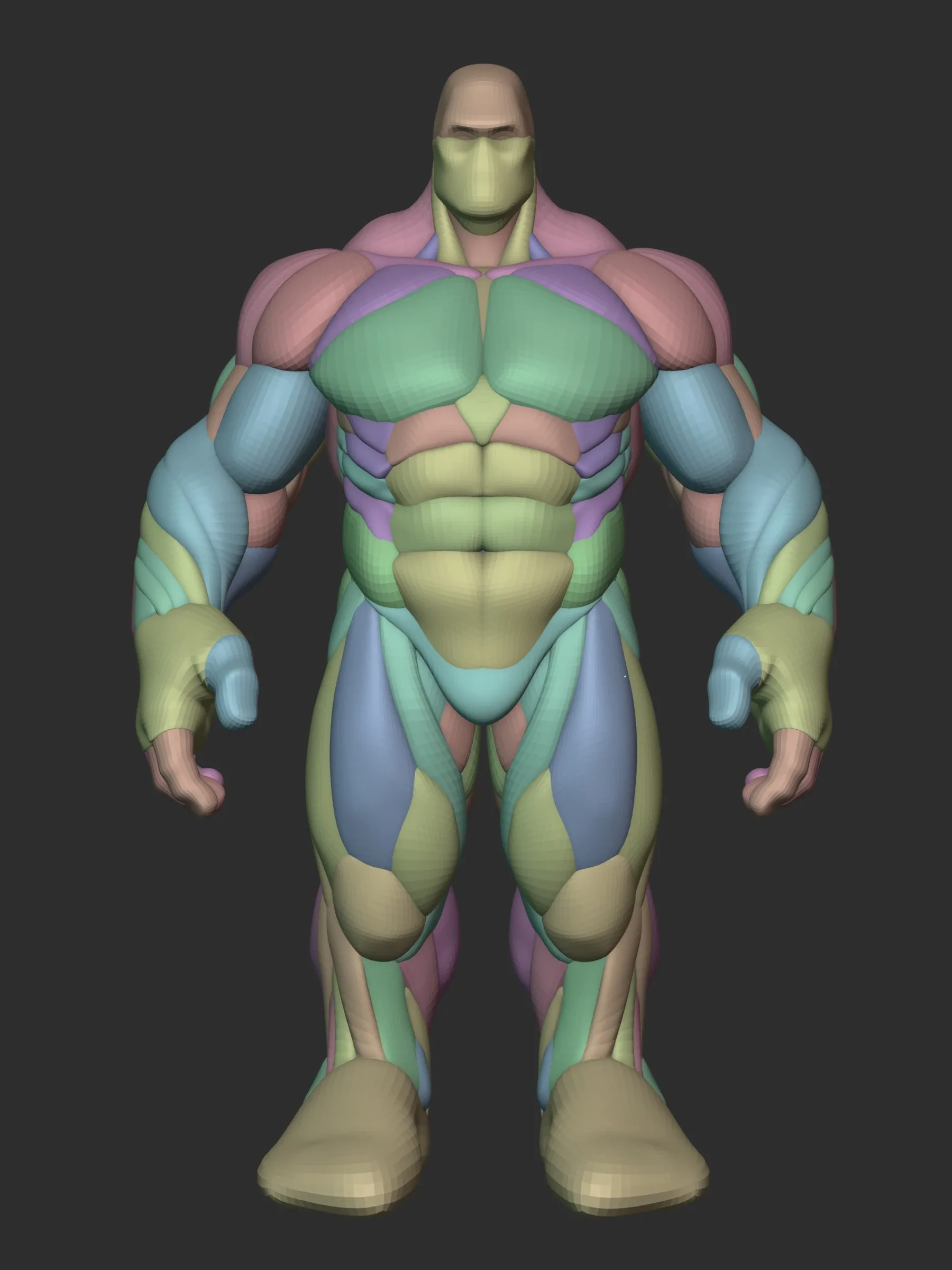 Hulky Anatomy Blockout