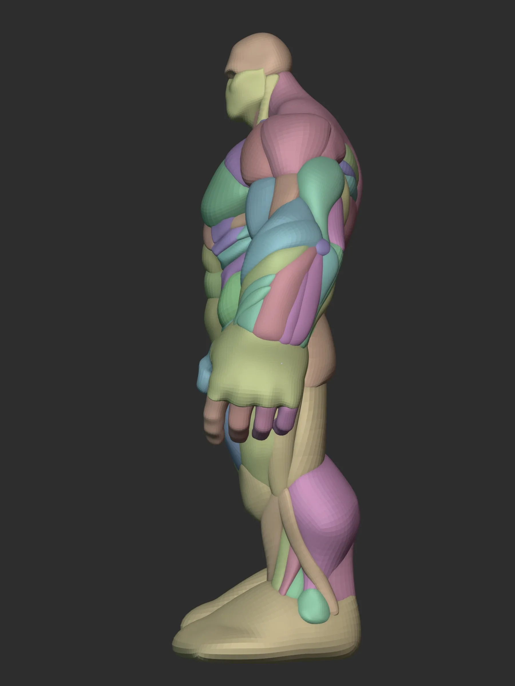 Hulky Anatomy Blockout