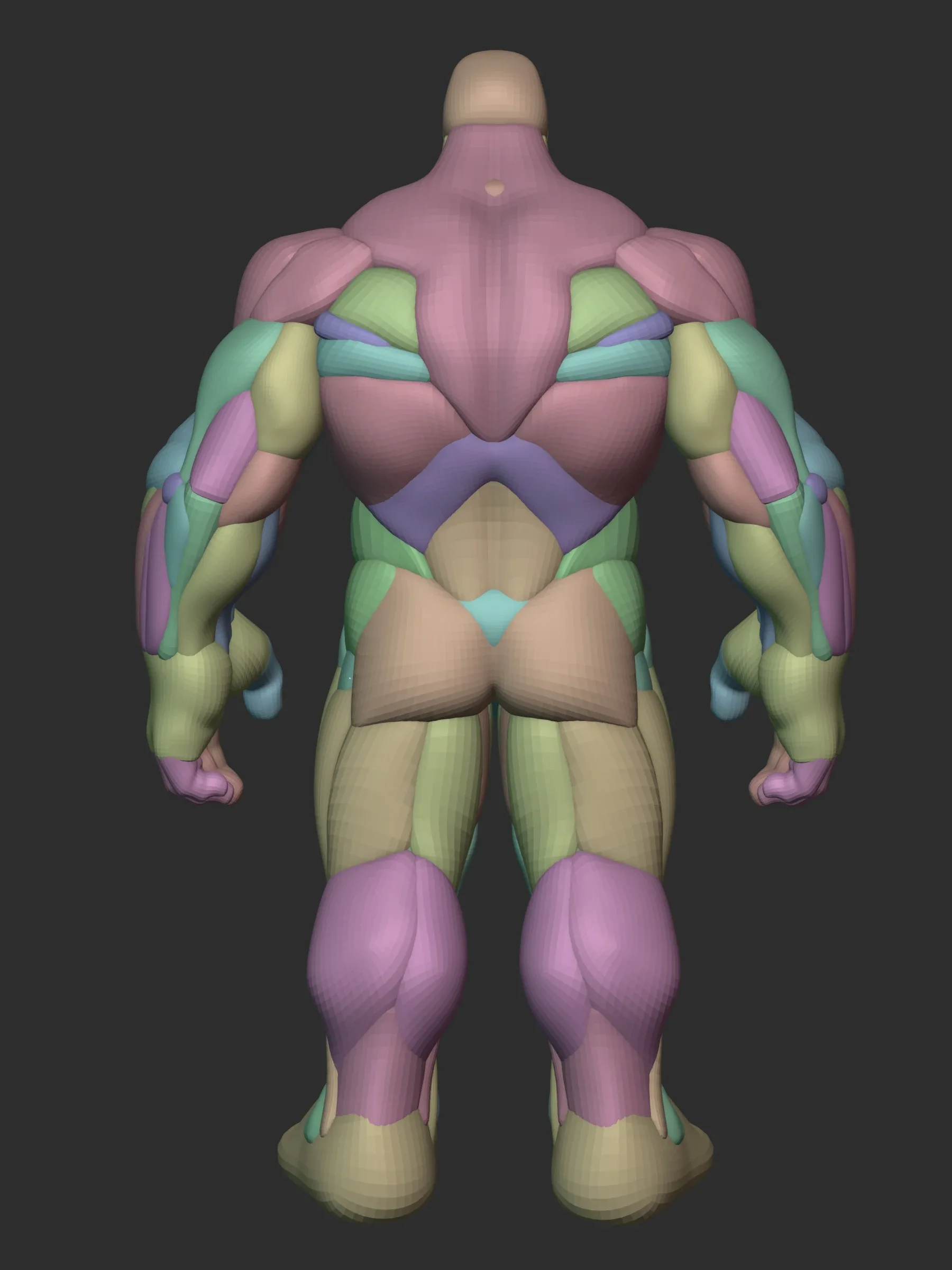 Hulky Anatomy Blockout