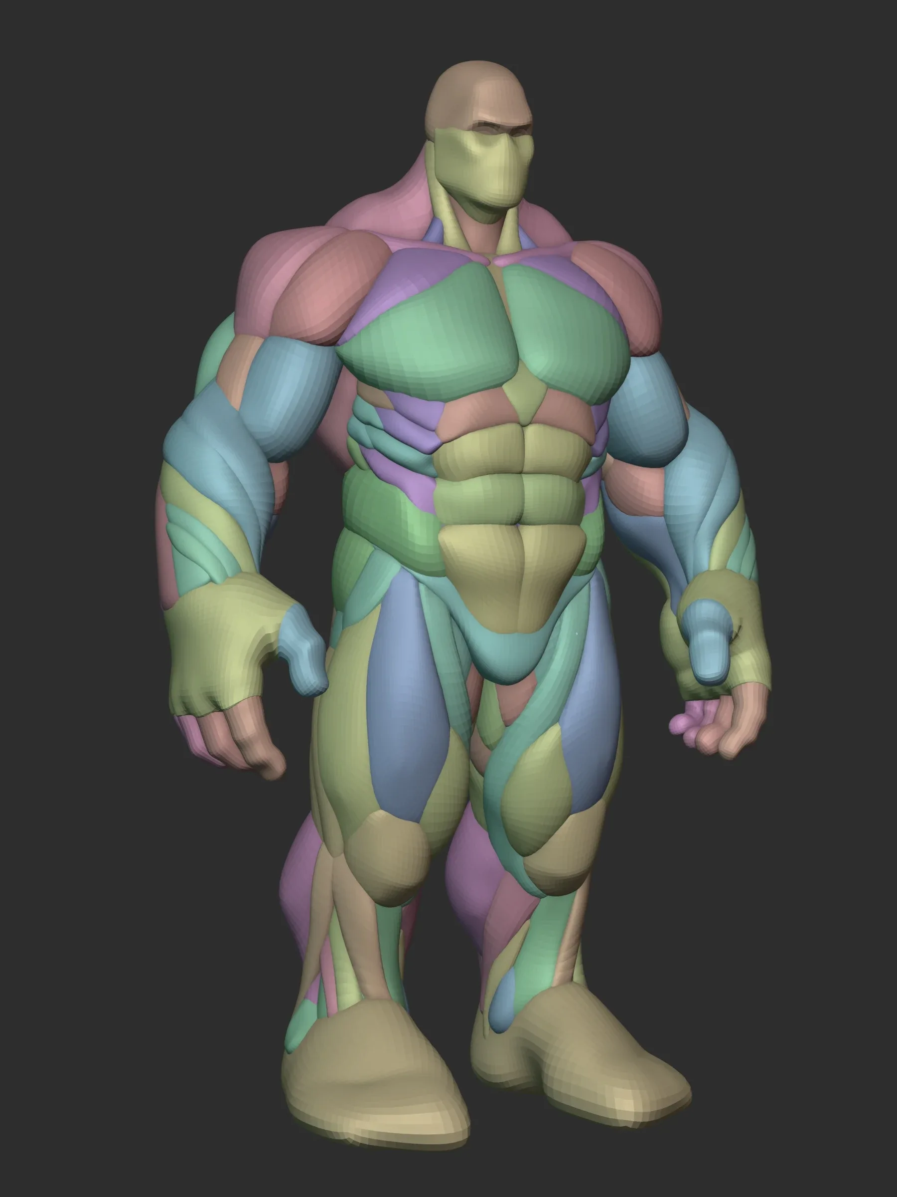 Hulky Anatomy Blockout