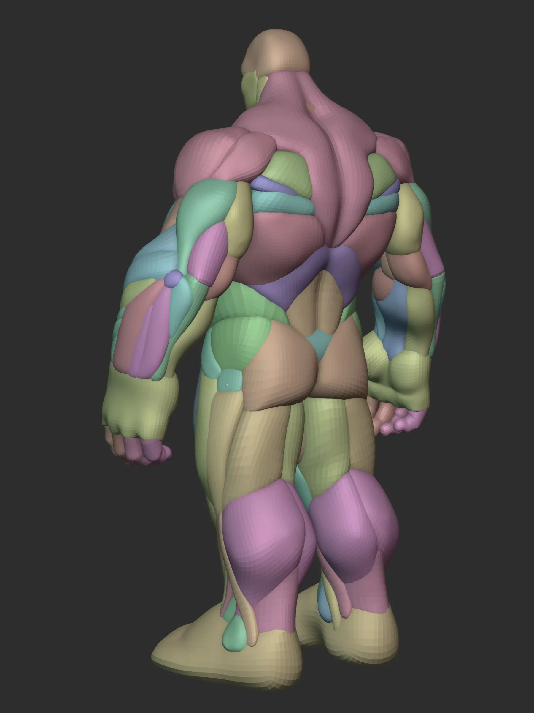 Hulky Anatomy Blockout