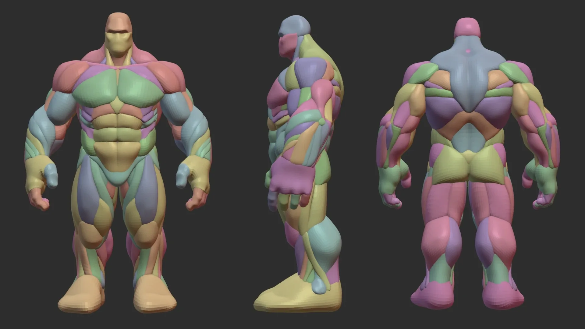 Hulky Anatomy Blockout