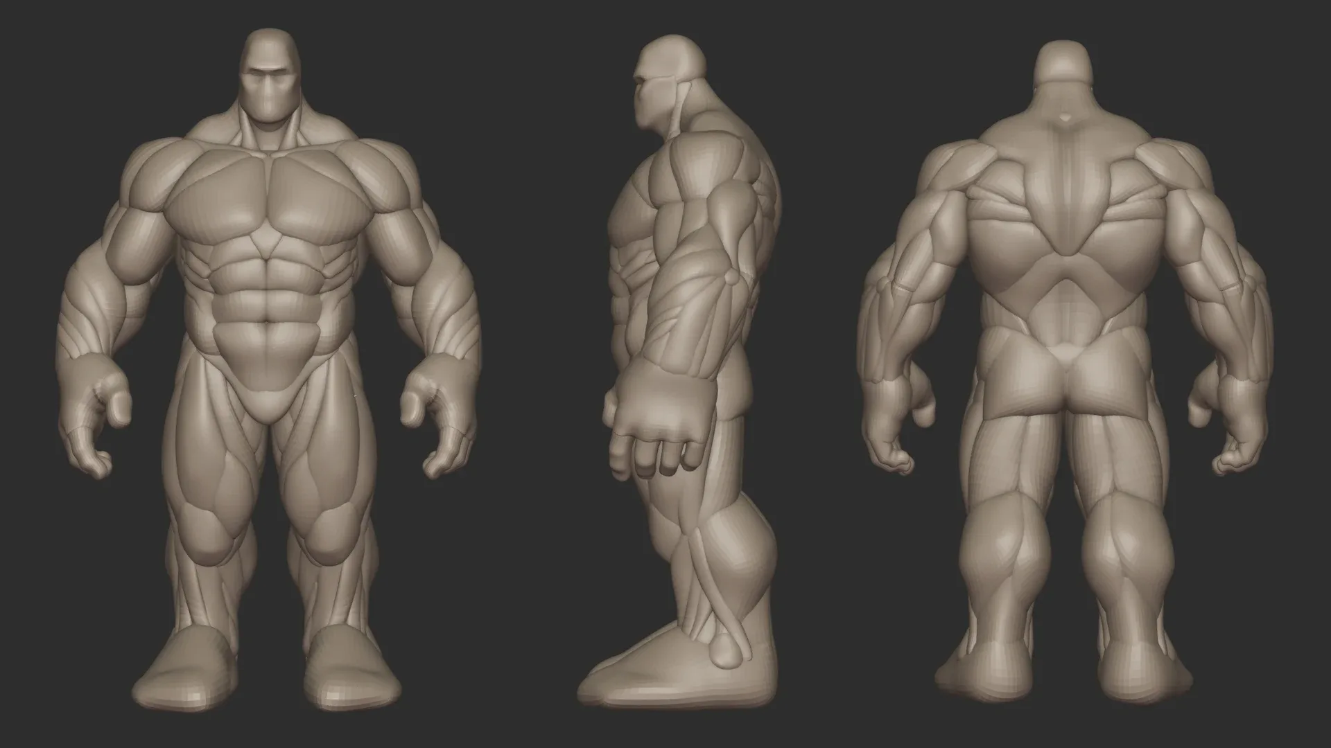 Hulky Anatomy Blockout