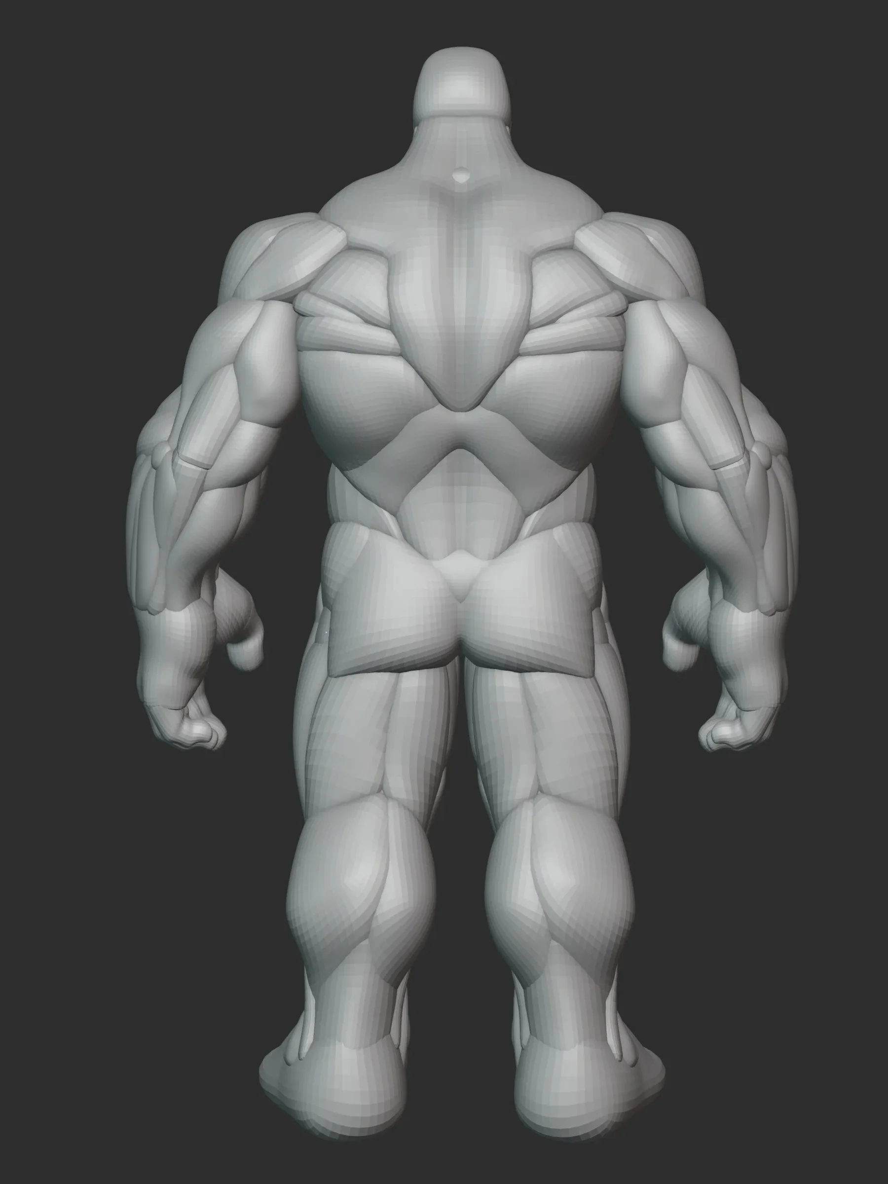 Hulky Anatomy Blockout