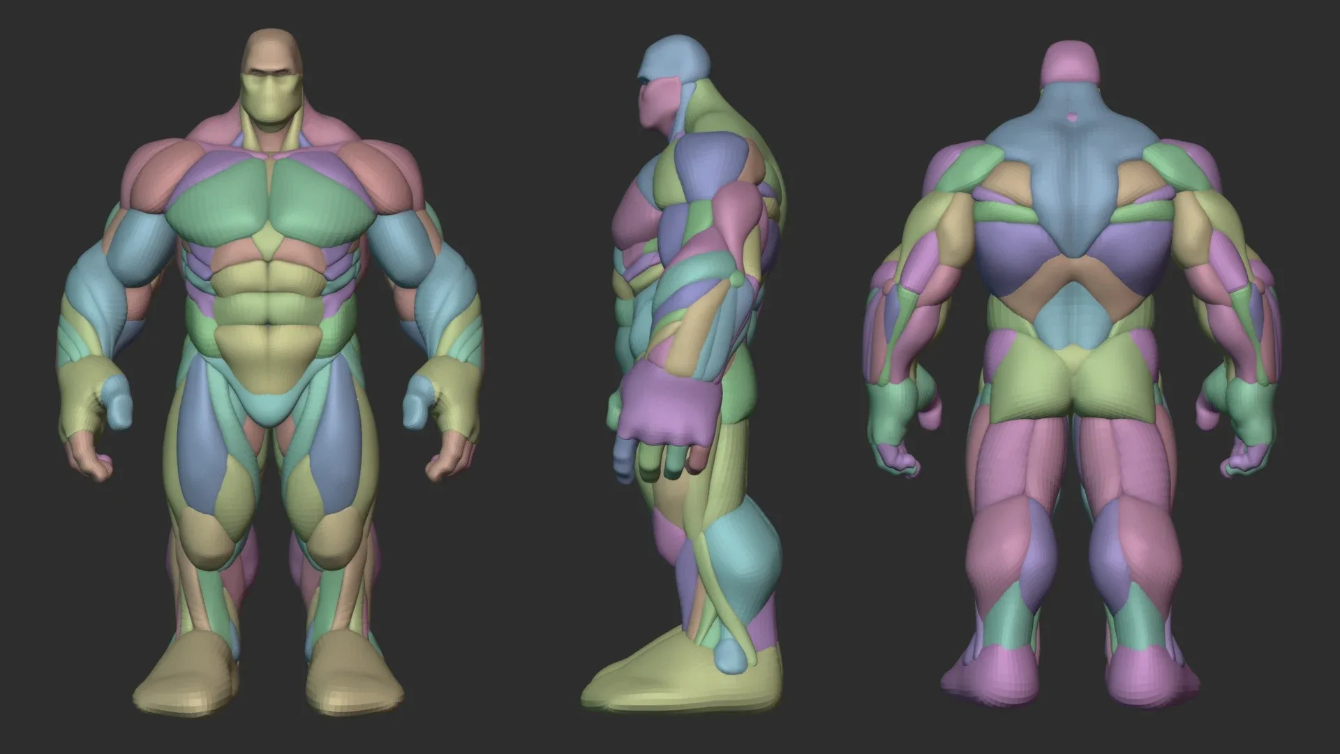 Hulky Anatomy Blockout