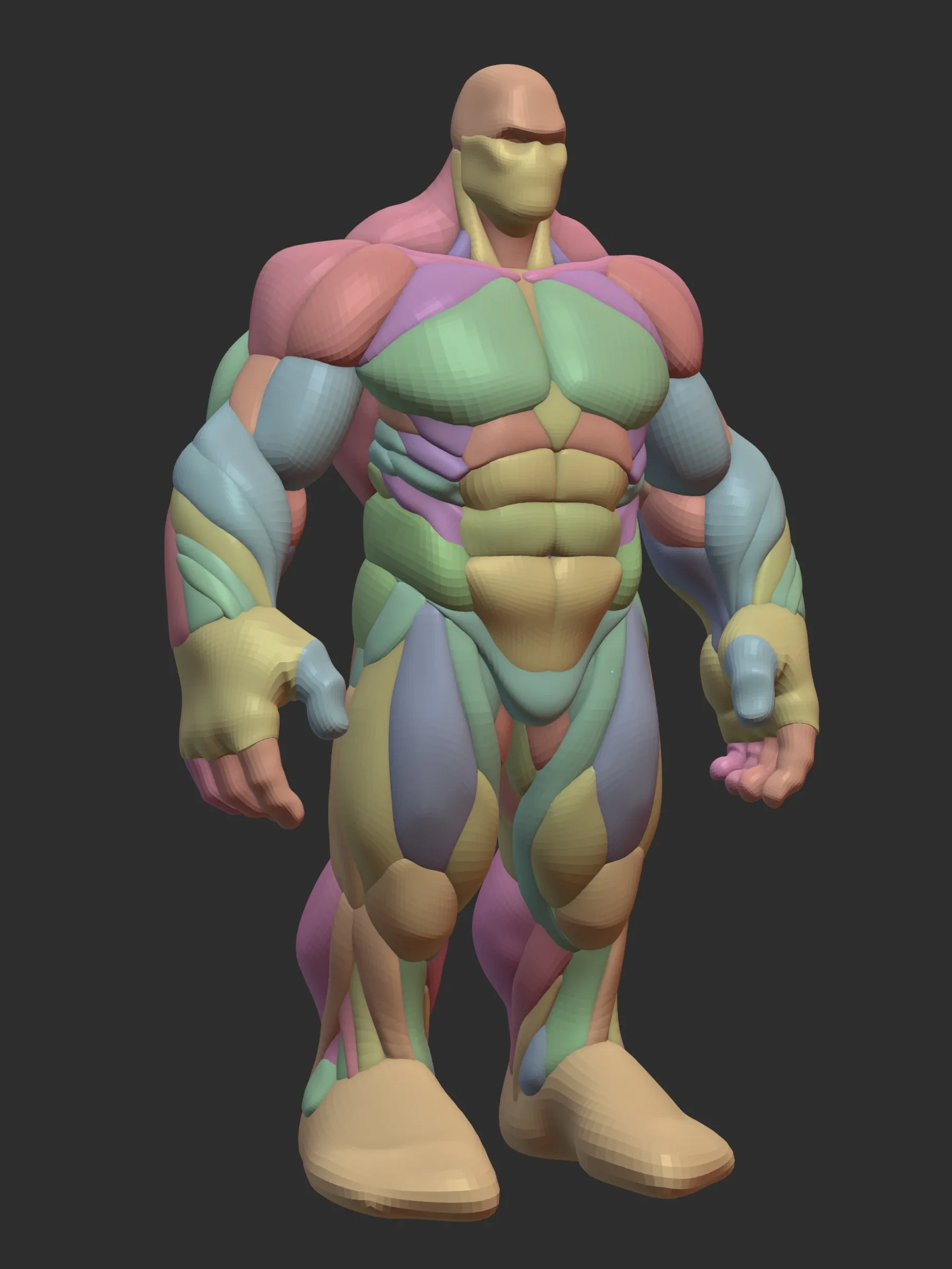 Hulky Anatomy Blockout