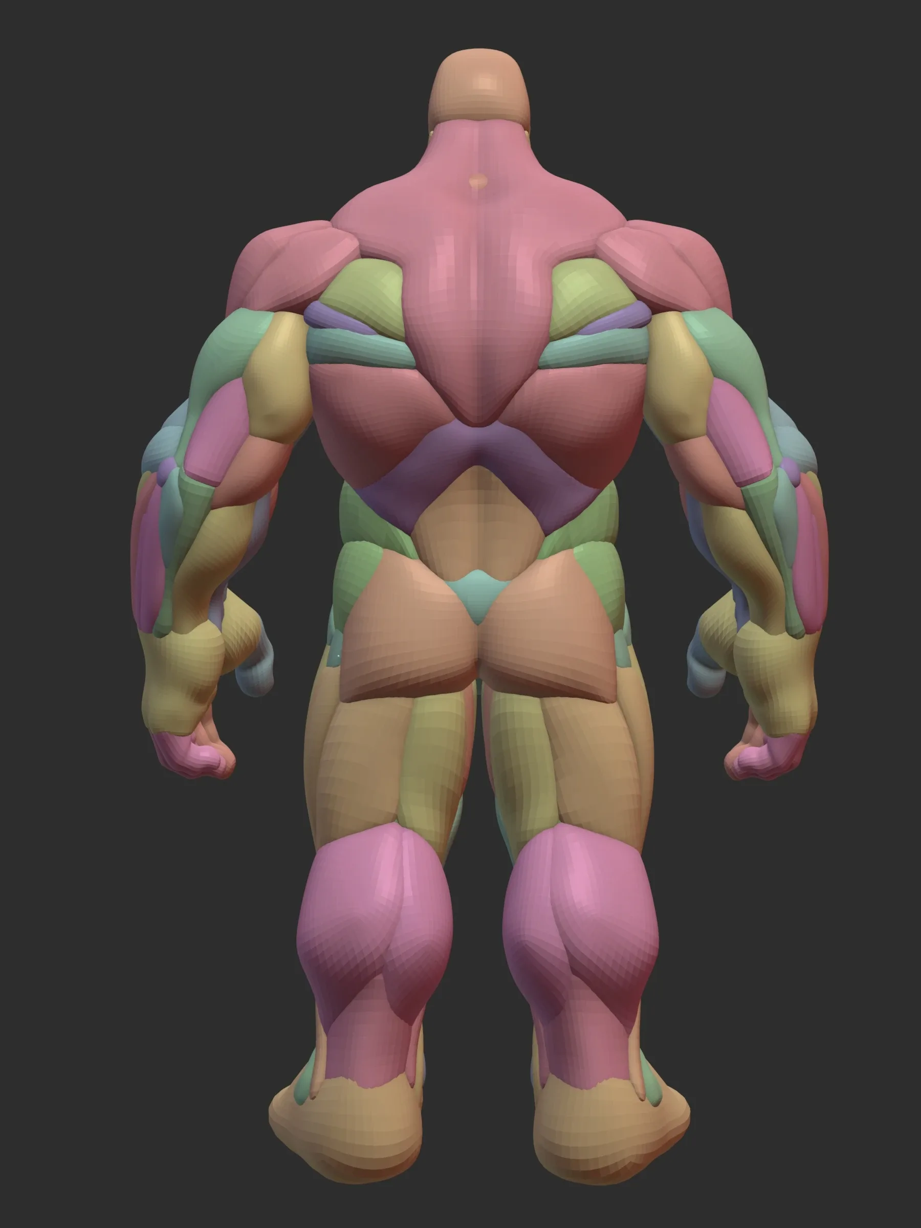 Hulky Anatomy Blockout