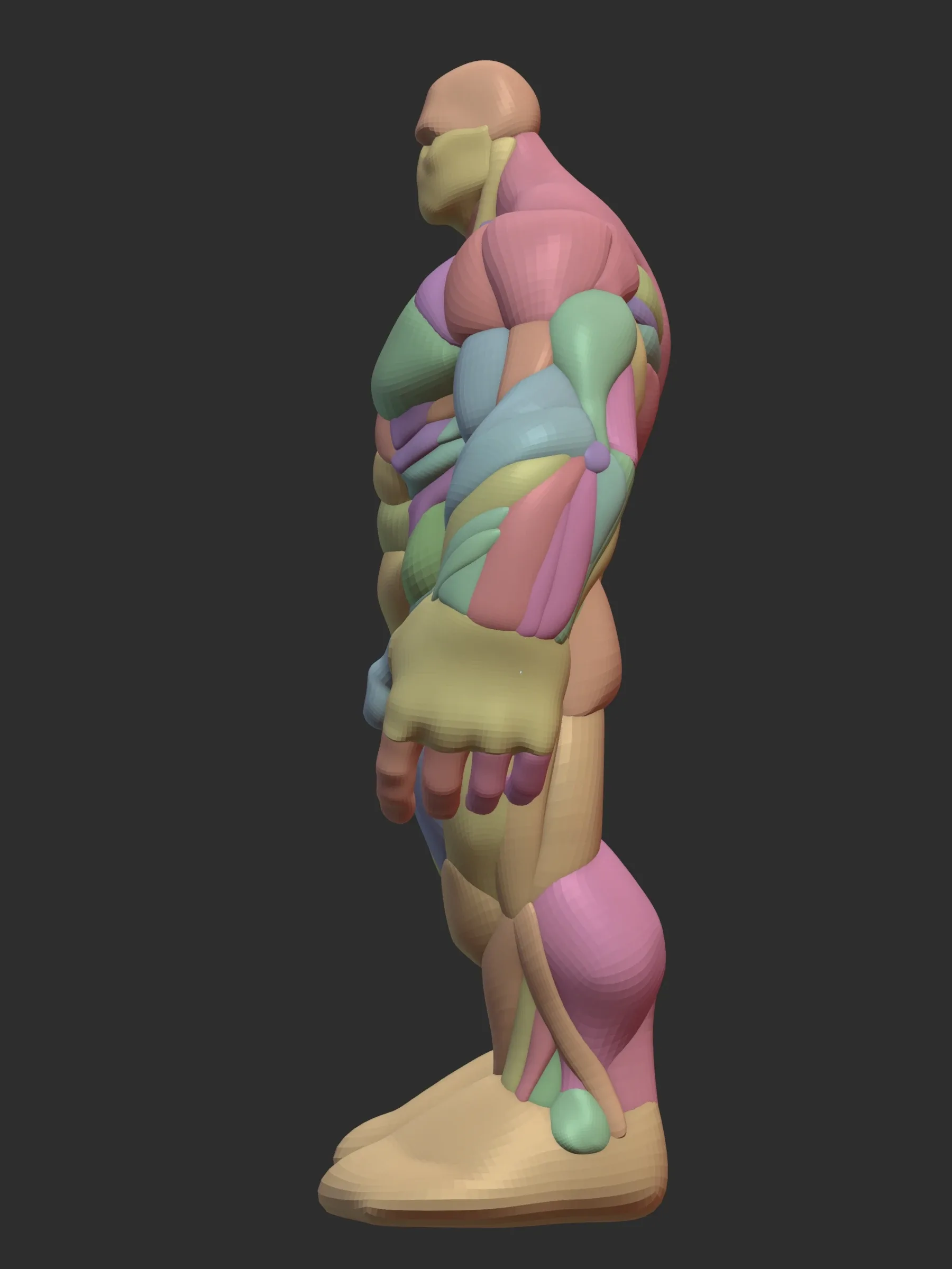 Hulky Anatomy Blockout