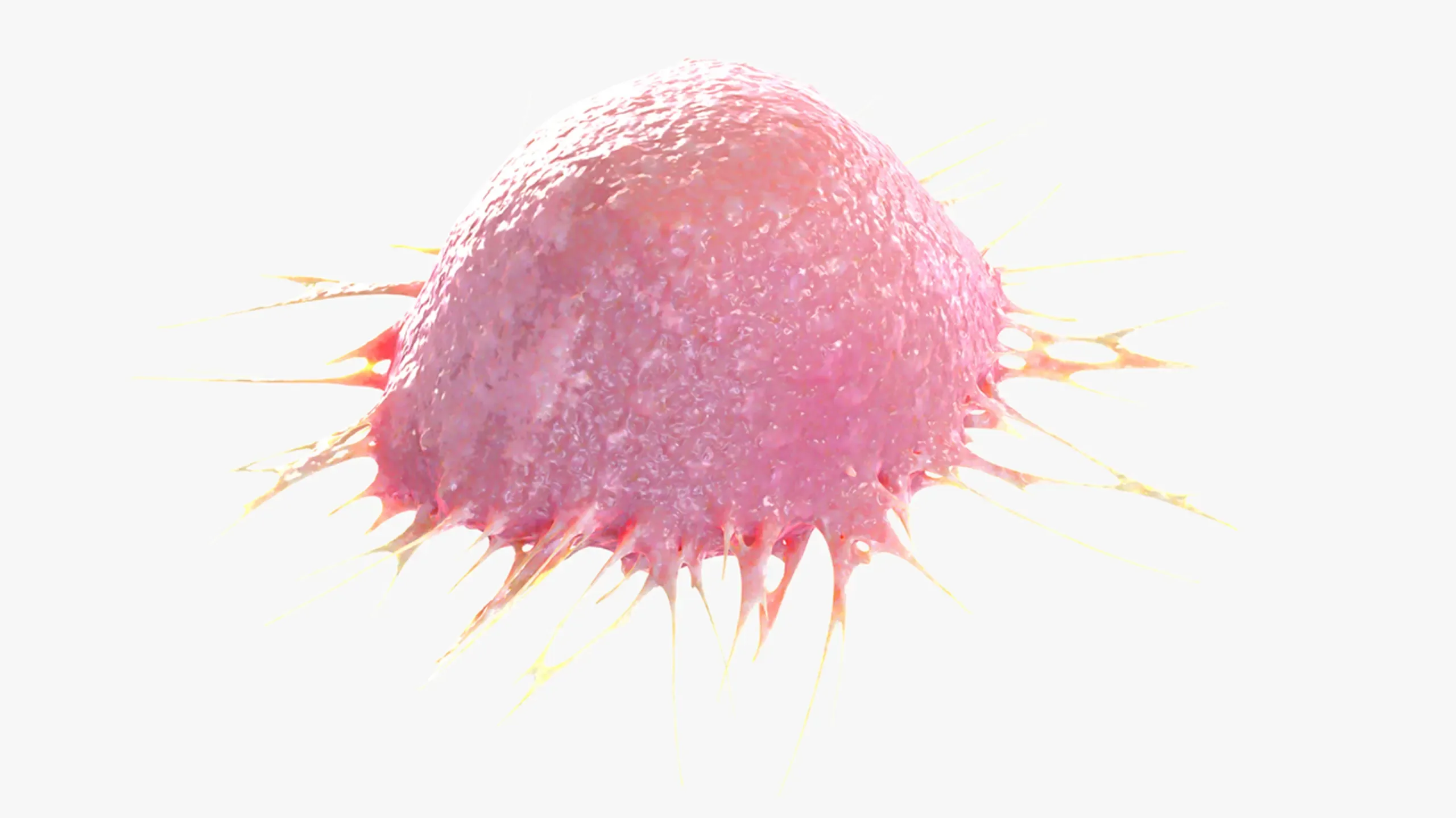 3D Model Cancer Cell