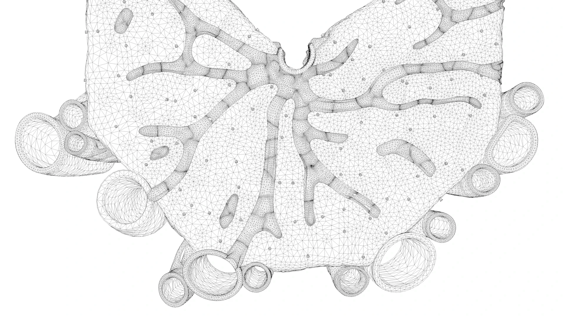 Microscopic Anatomy of Liver