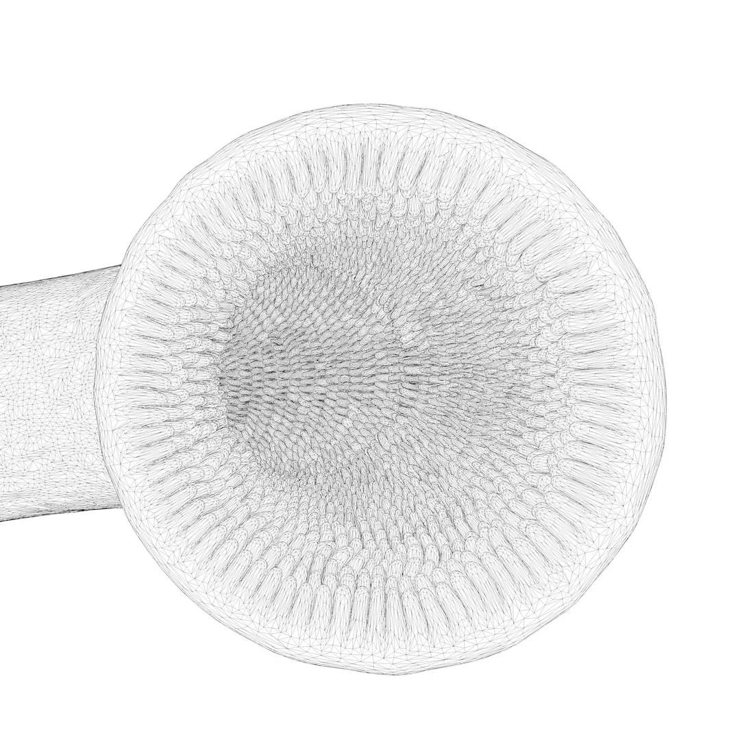 Intestinal villi Animation - FlippedNormals