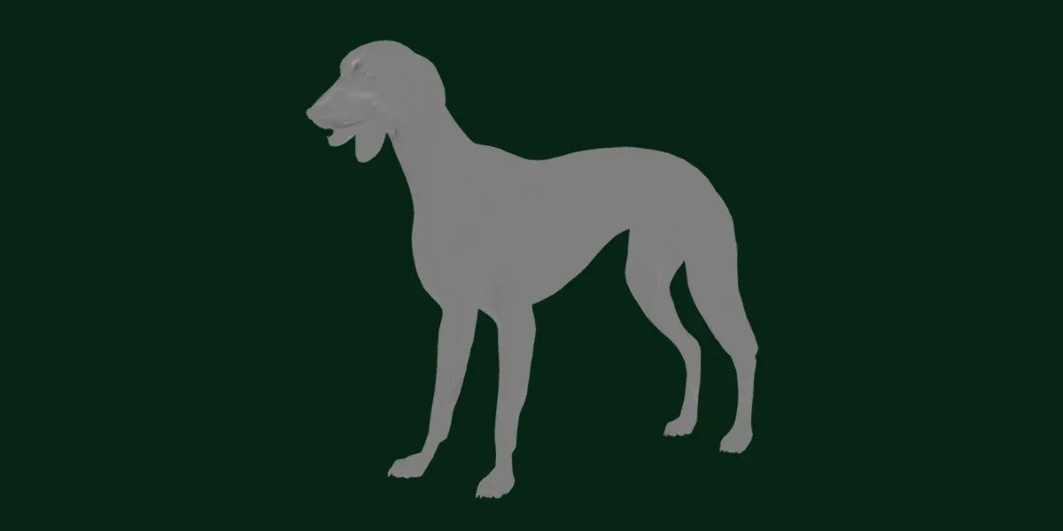 Saluki Dog Breed