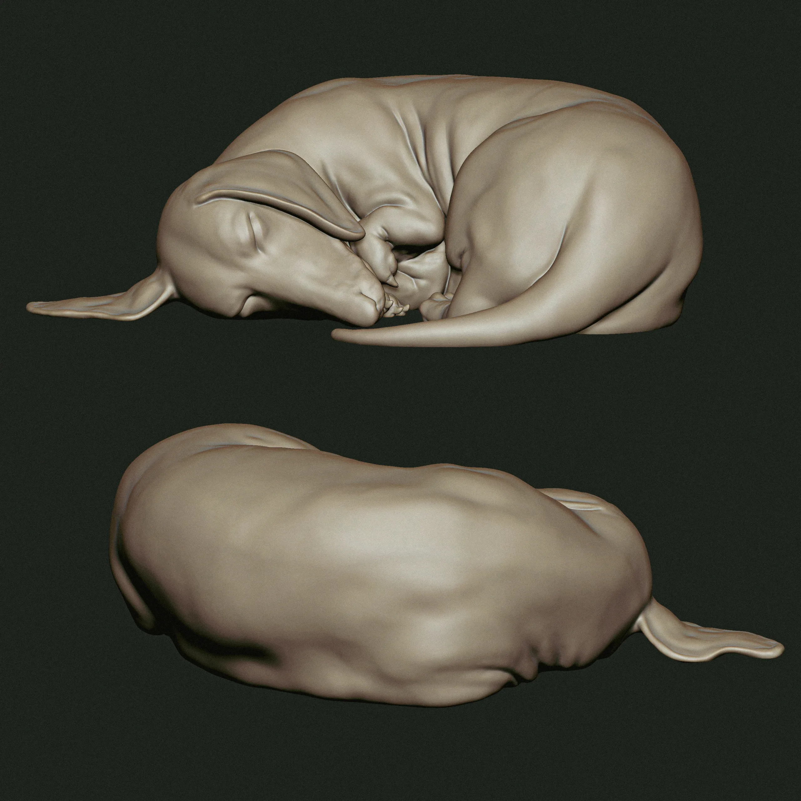 Dachshund - 3D Print Ready