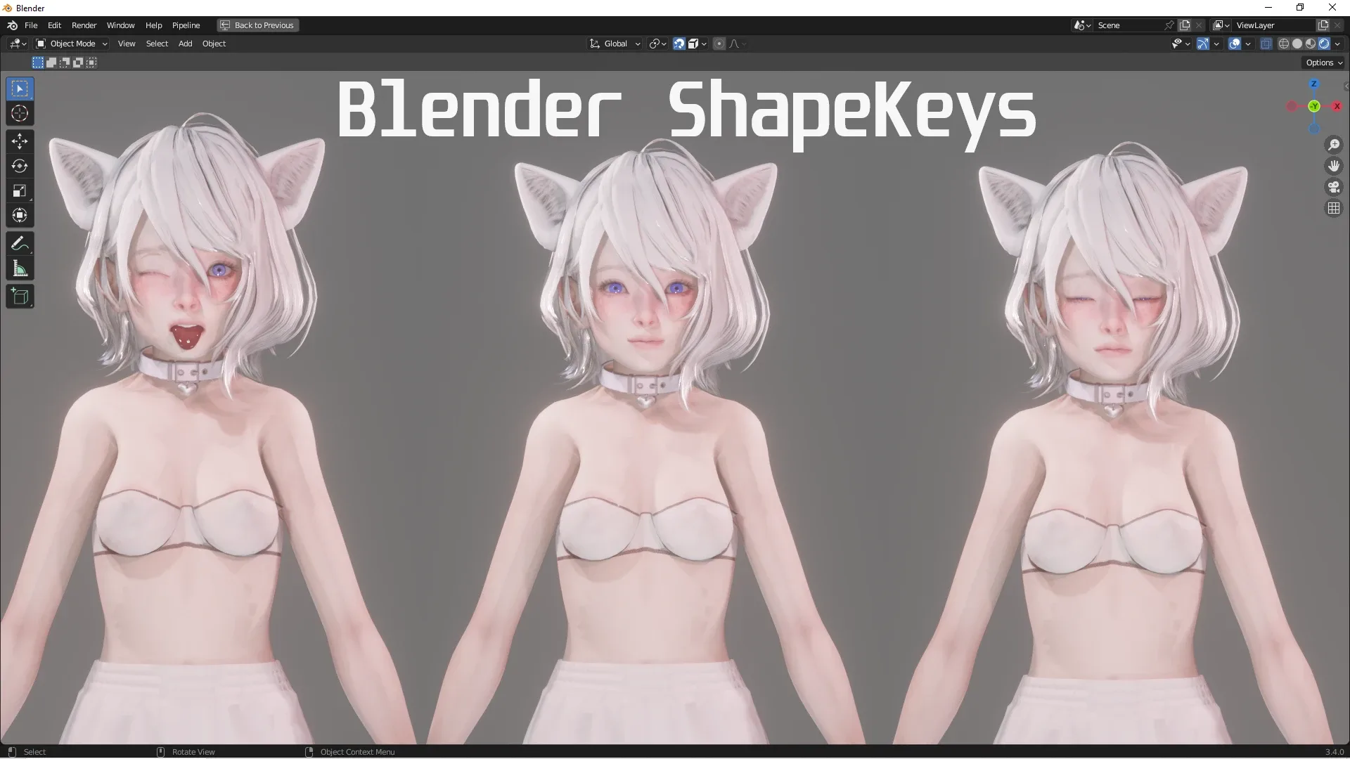 Cat Girl - Realistic Female Character - Blender Eevee