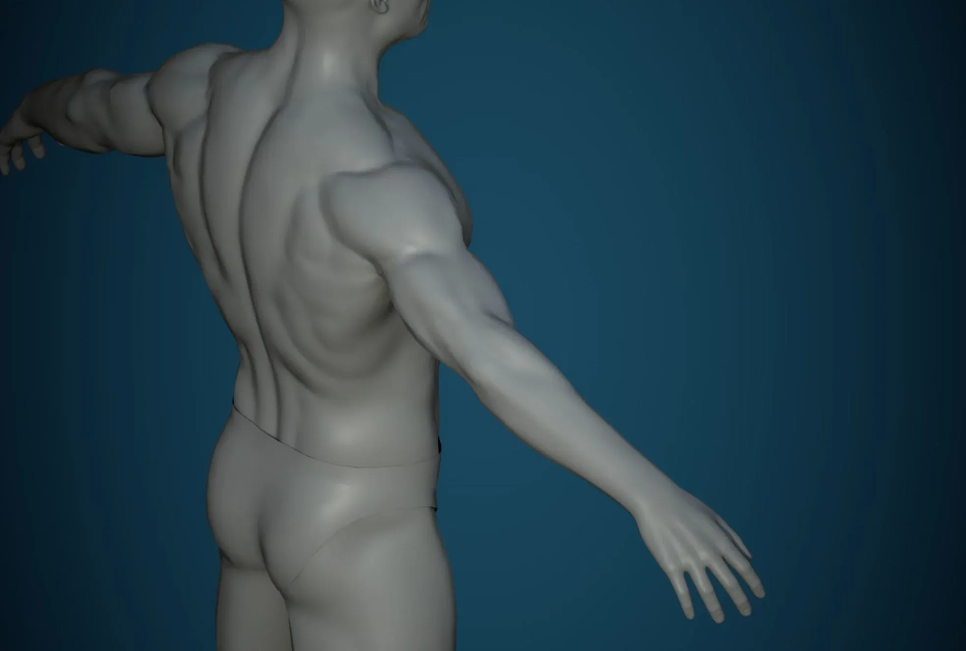 Base Mesh Male Body - Collection 1