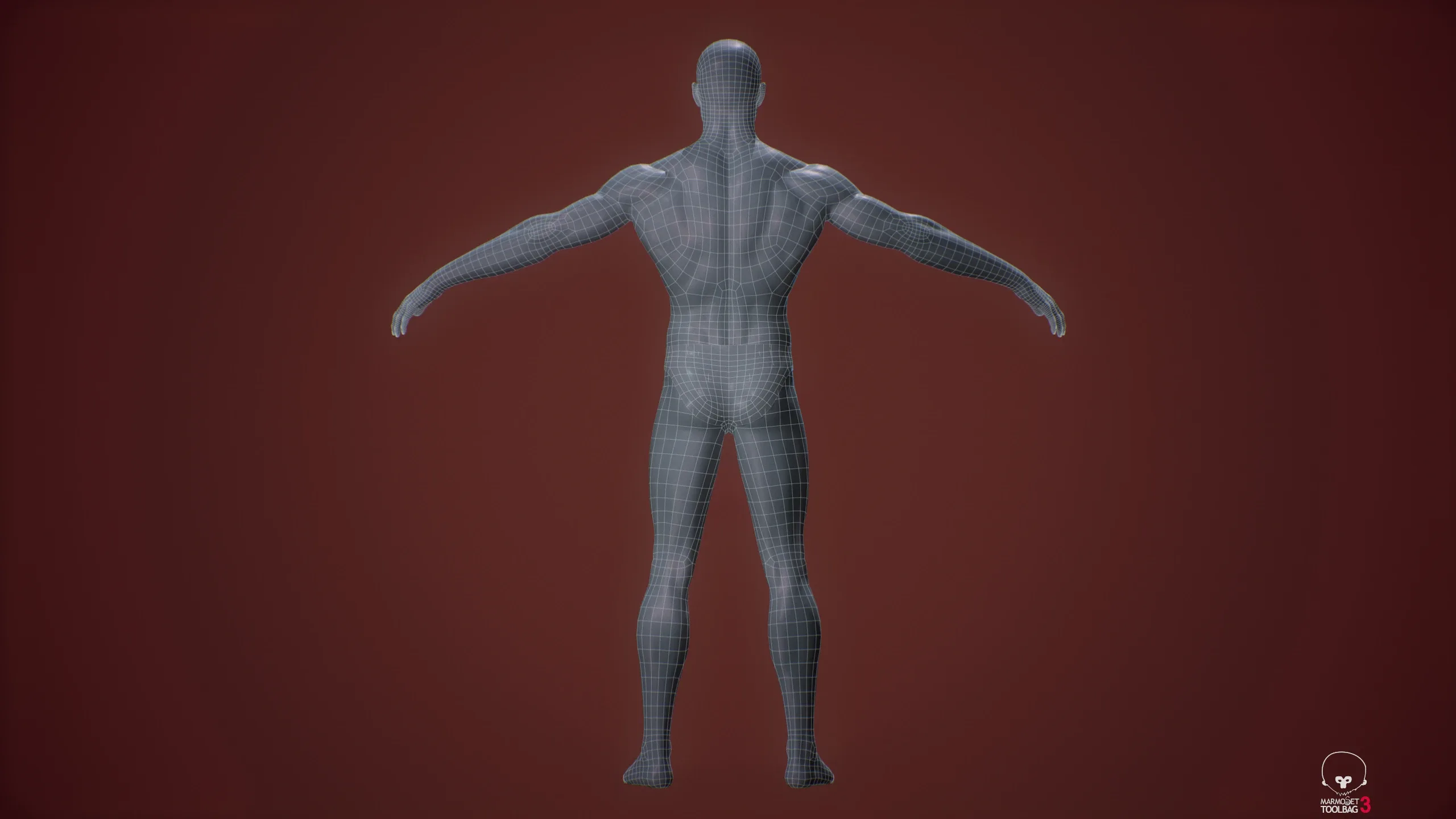 Base Mesh Male Body - Collection 1