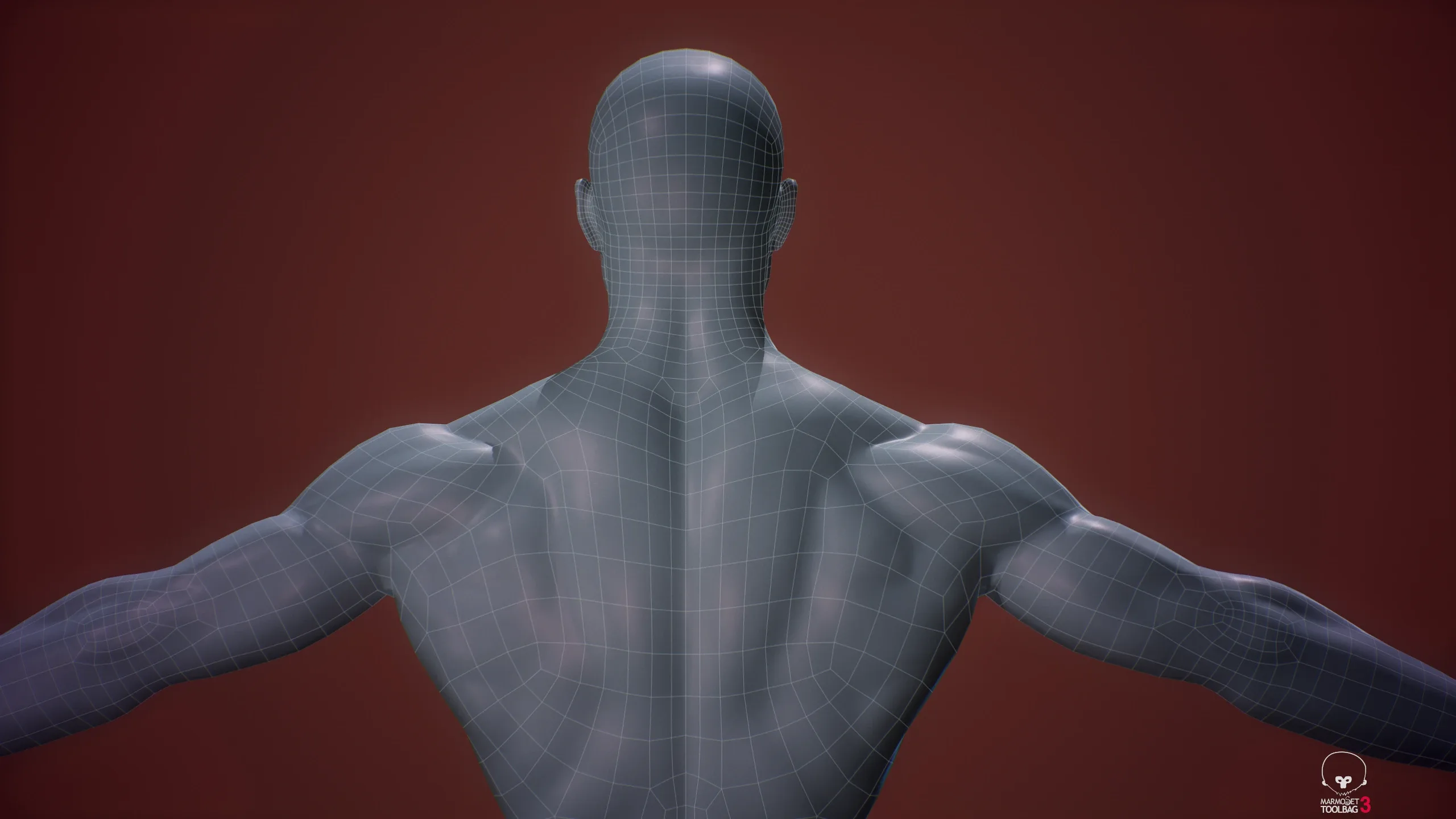 Base Mesh Male Body - Collection 1