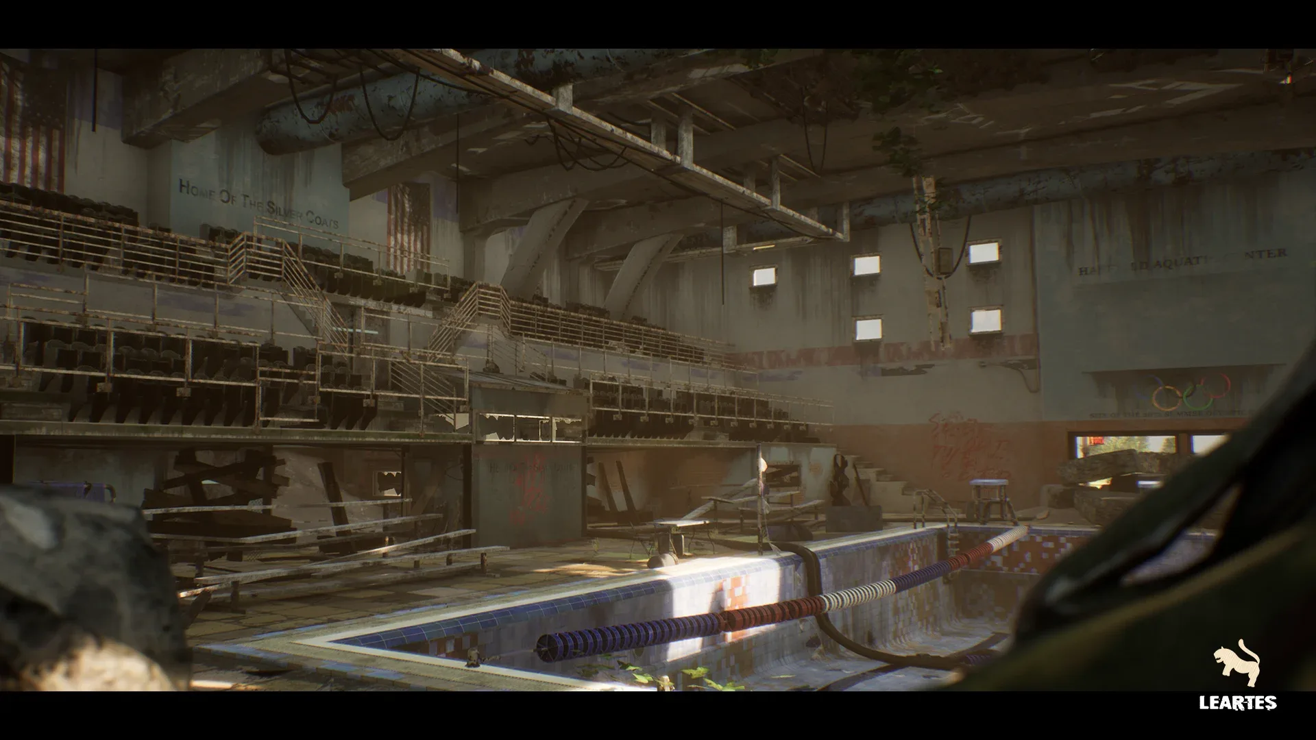 Abandoned Swimming Pool Environment