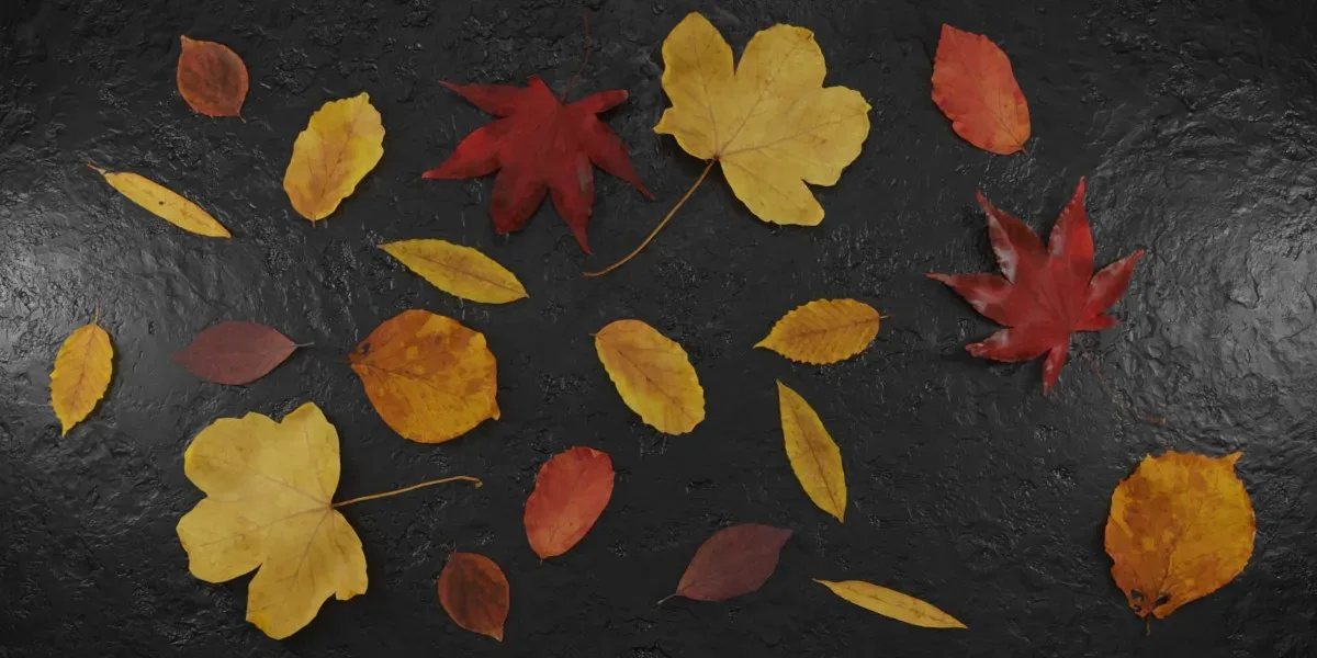 Photorealistic Wrinkled Autumn Leaves