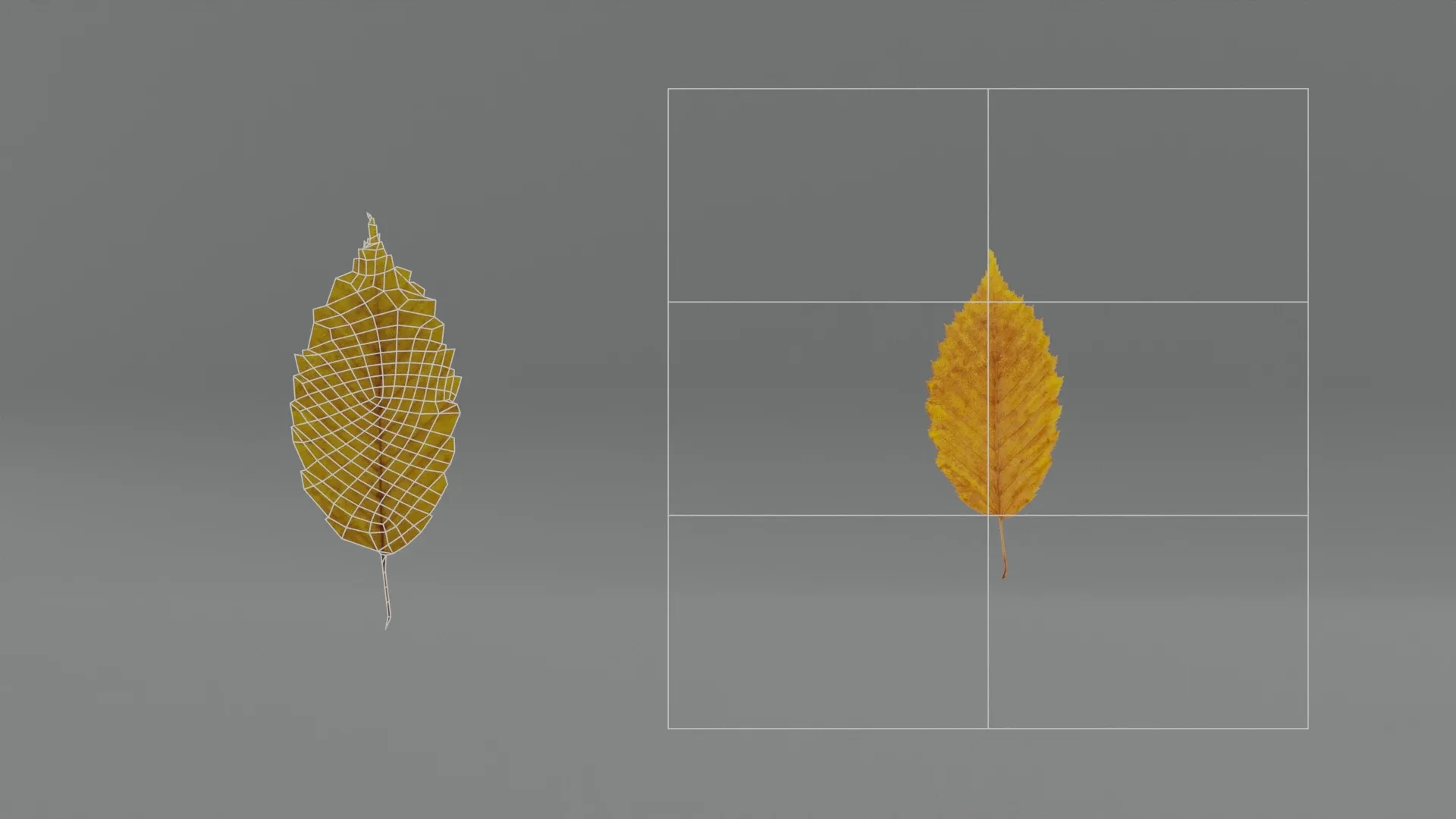 Photorealistic Wrinkled Autumn Leaves