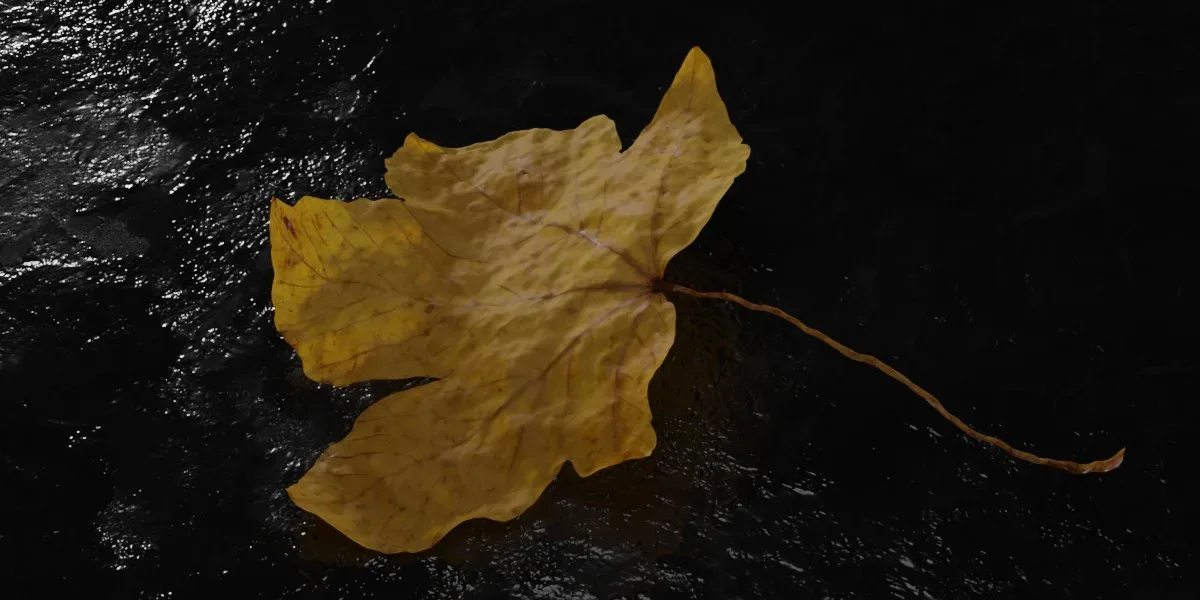 Photorealistic Wrinkled Autumn Leaves